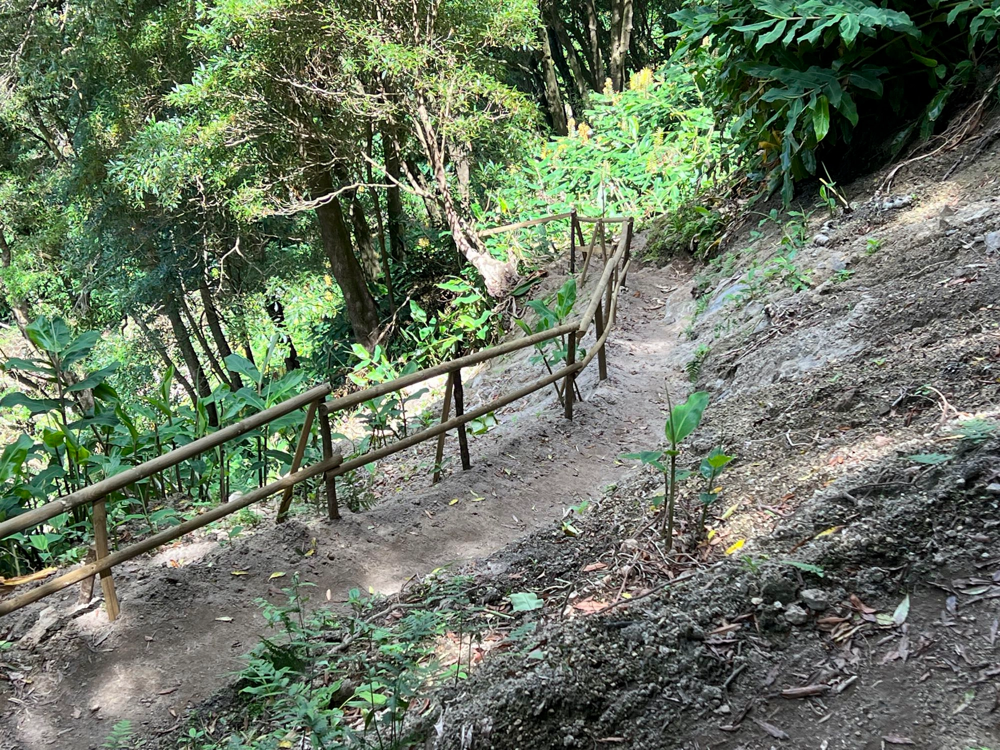 Aufstieg aus dem Tal des Ribeira do Agrião