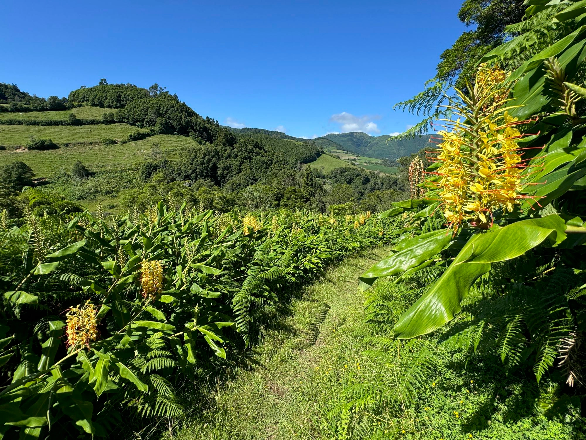 Abstieg nach Faial da Terra