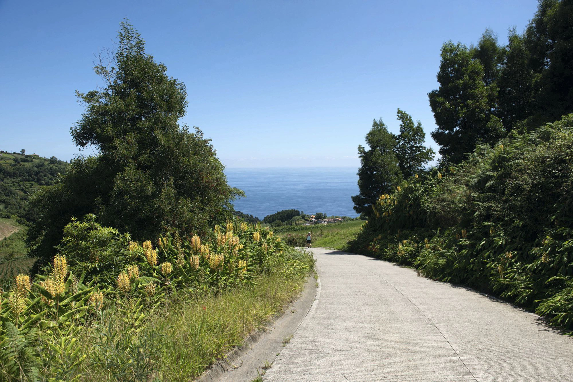 auf dem Weg nach Lomba das Fagundas