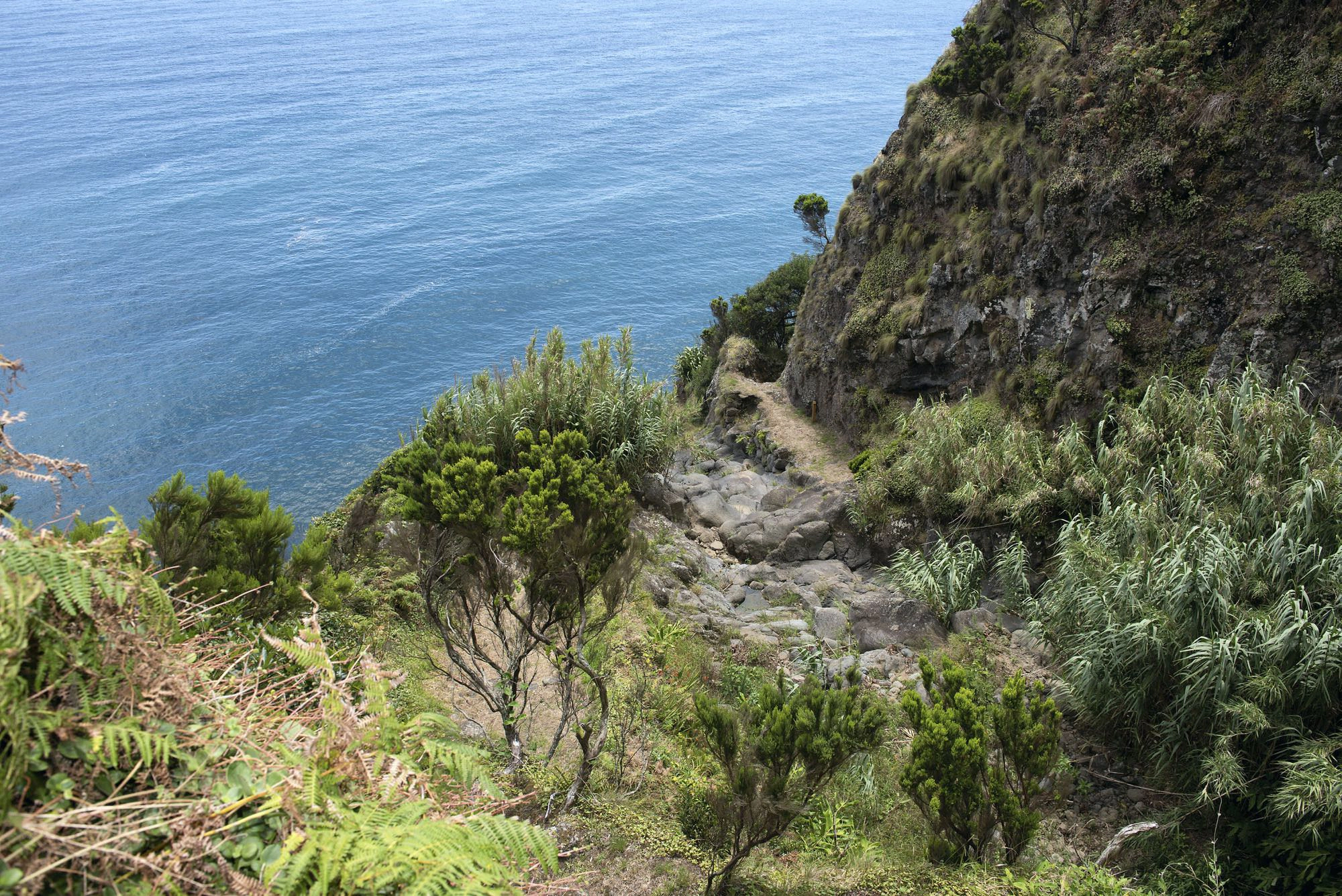 im Tal des Ribeira do Estreito