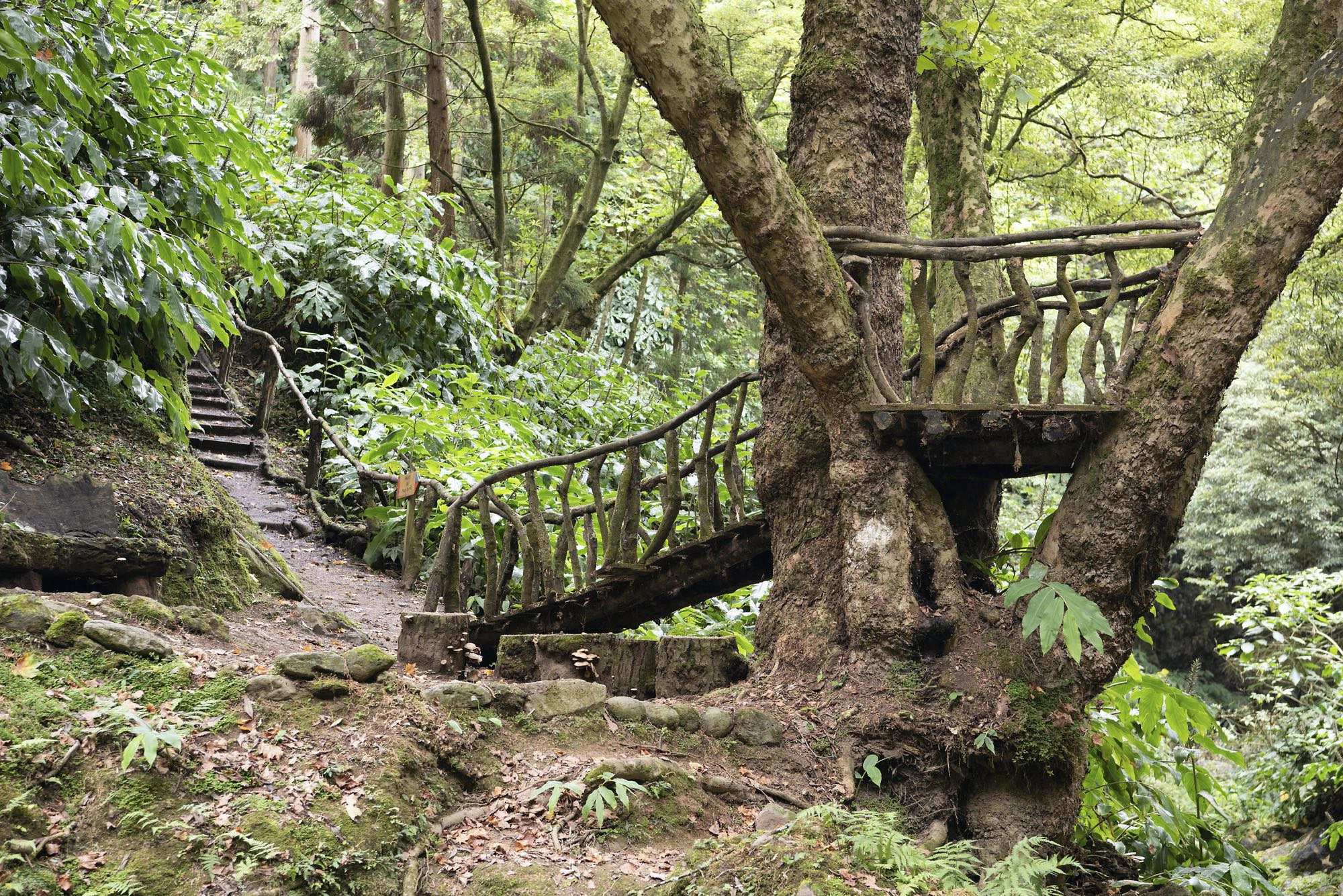 Ausguck an der Cascata do Teófilo