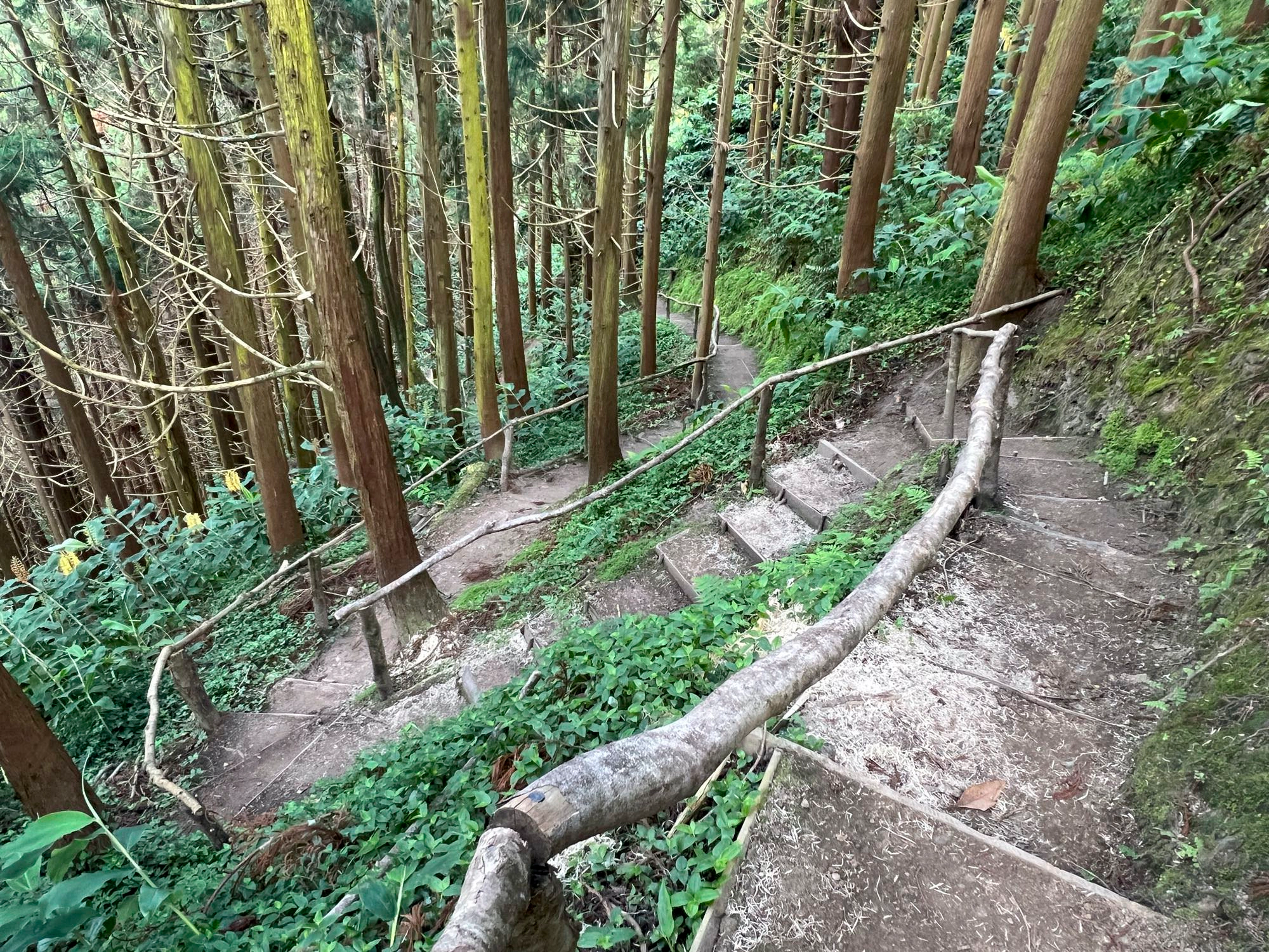 Aufstieg nach Lomba de São Pedro