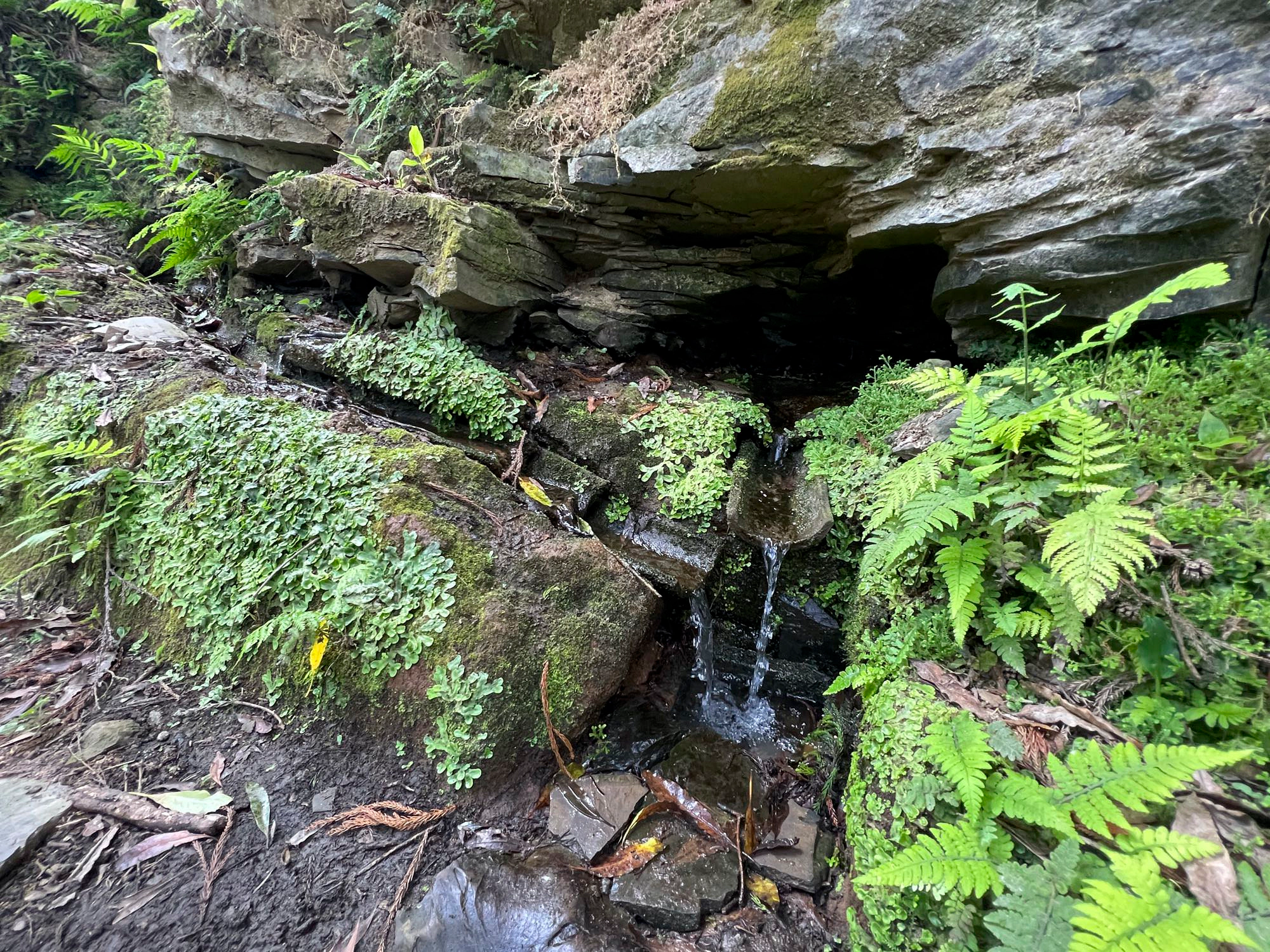 Quelle bei Lomba de São Pedro