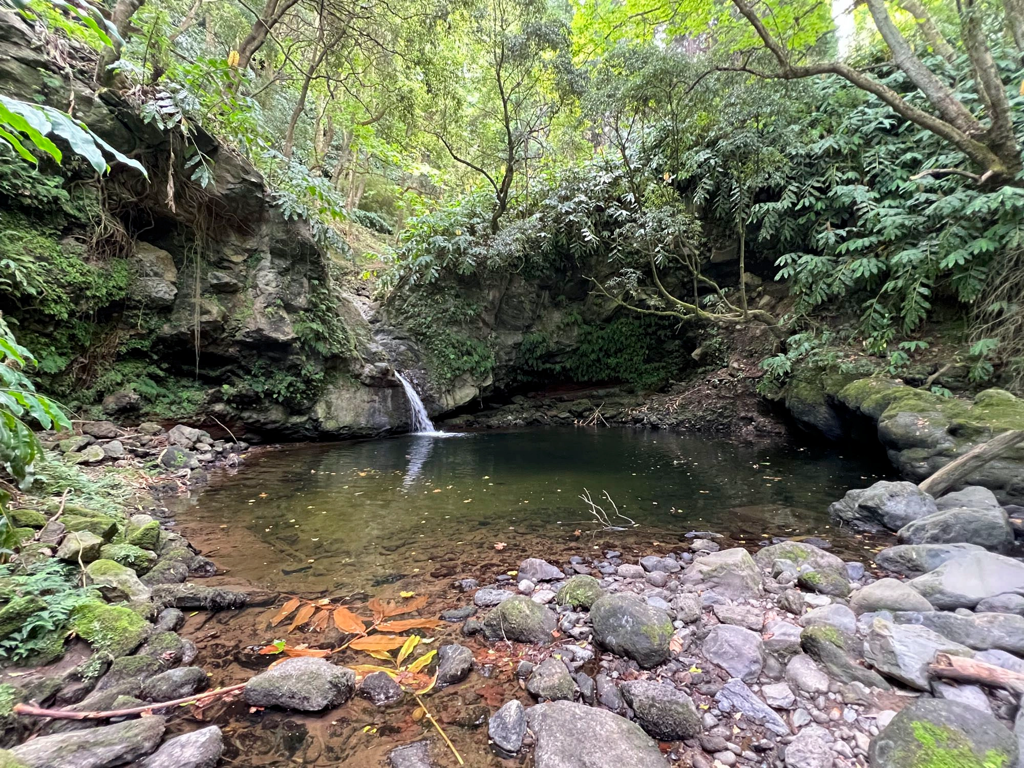 Wasserbecken am Ribeira Funda