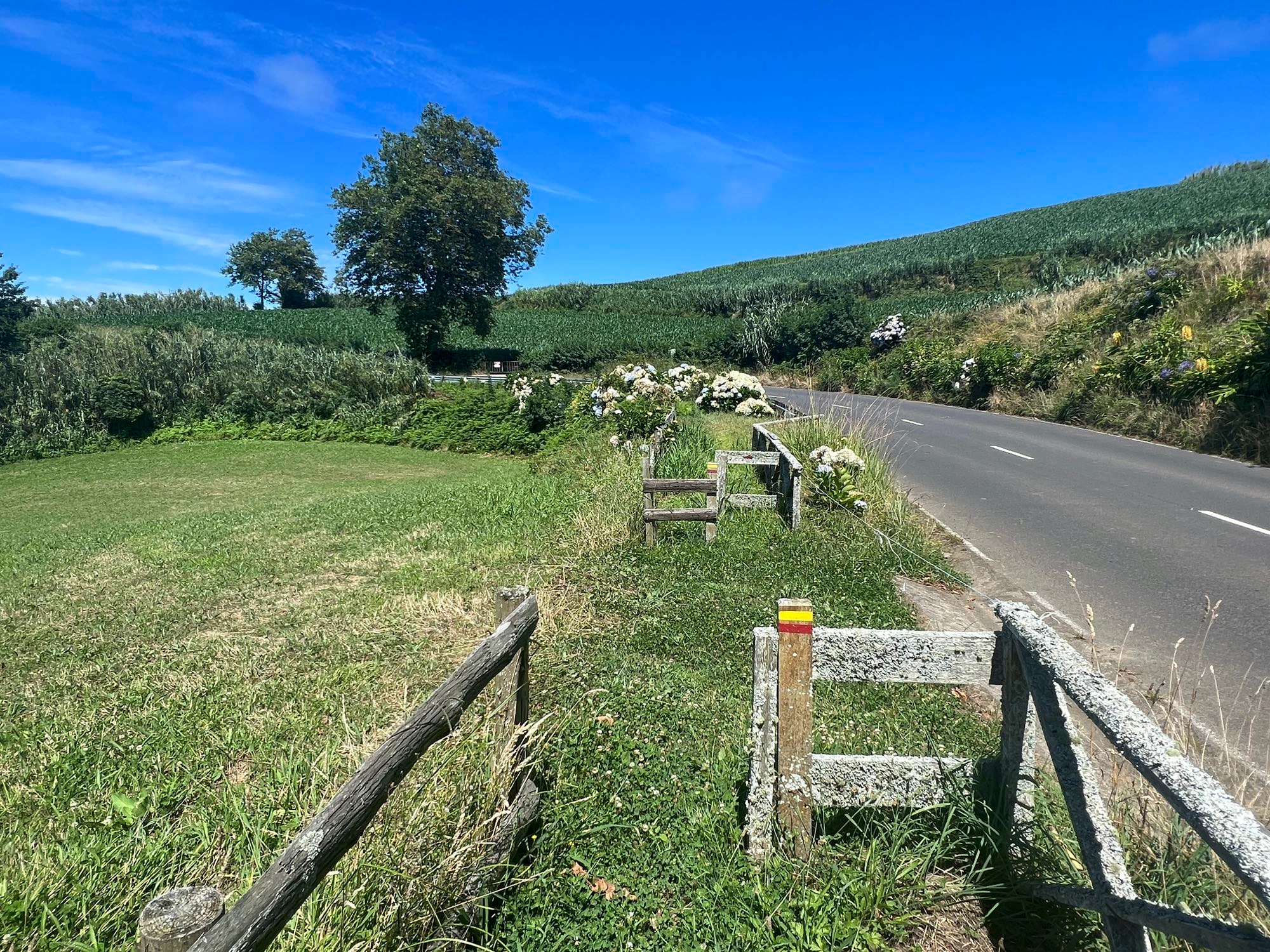 Der Wanderweg verläuft parallel zur ER1