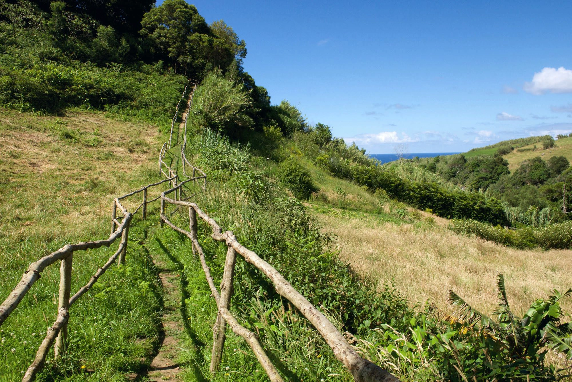 Wegabschnitt oberhalb von Moinhos