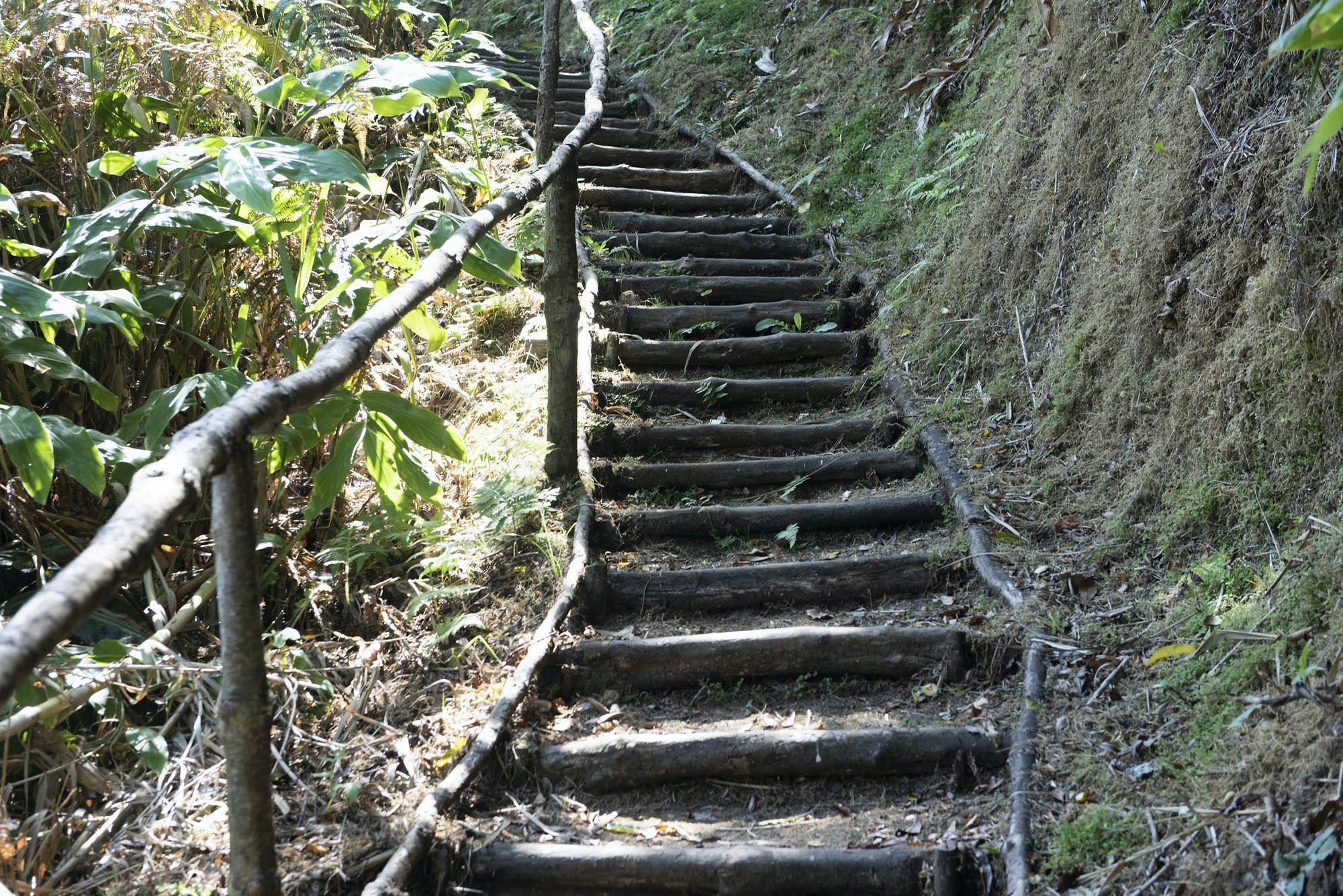 Abstieg nach Ladeira da Velha