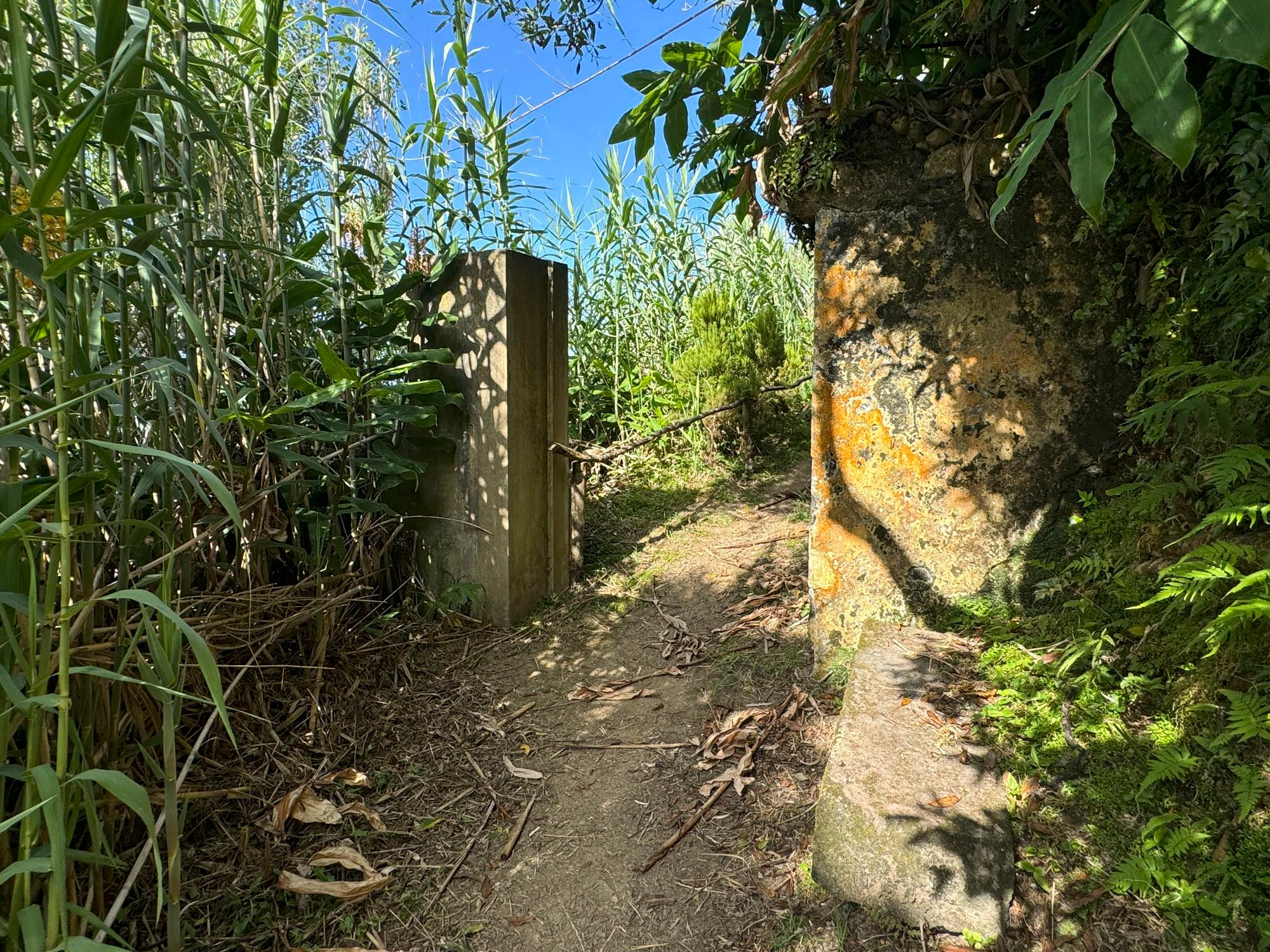 Tor zum Abstiegsweg nach Ladeira da Velha