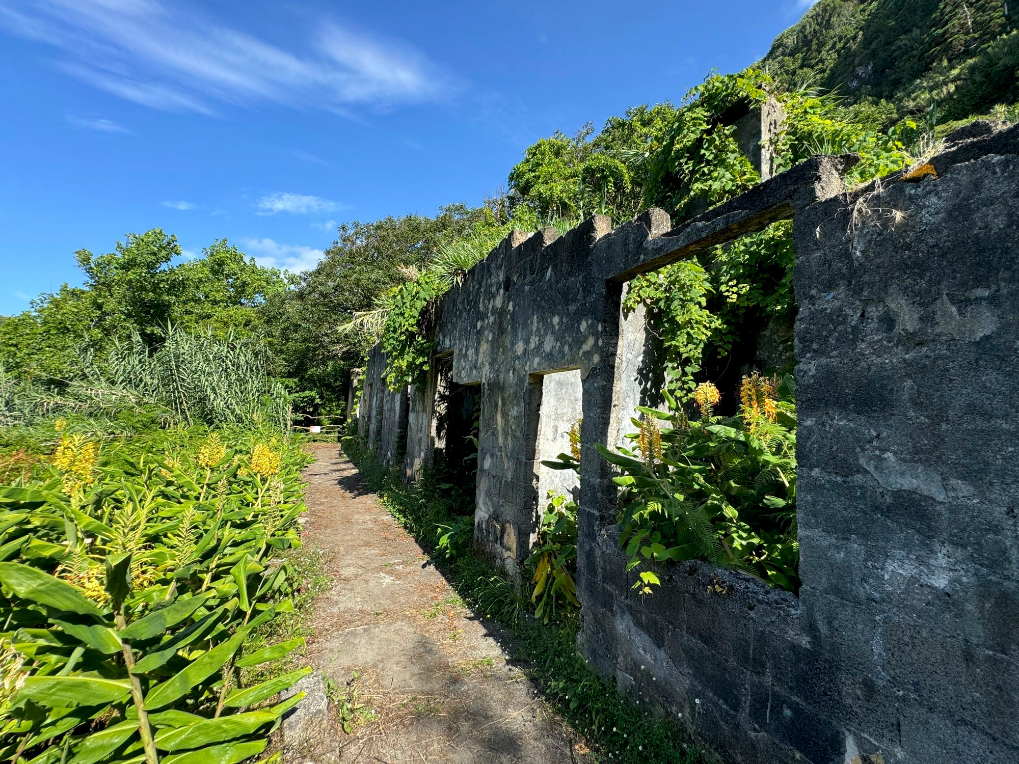 Ruinas das Termas da Ladeira Da Velha