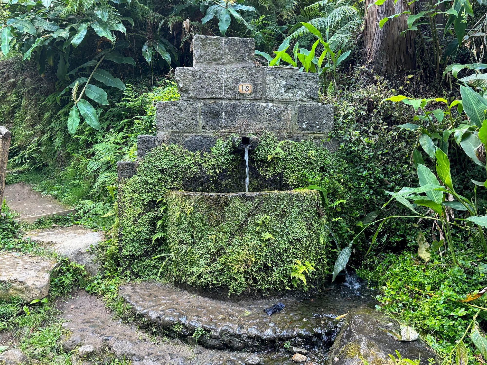 Agua Férrea das Pachecas