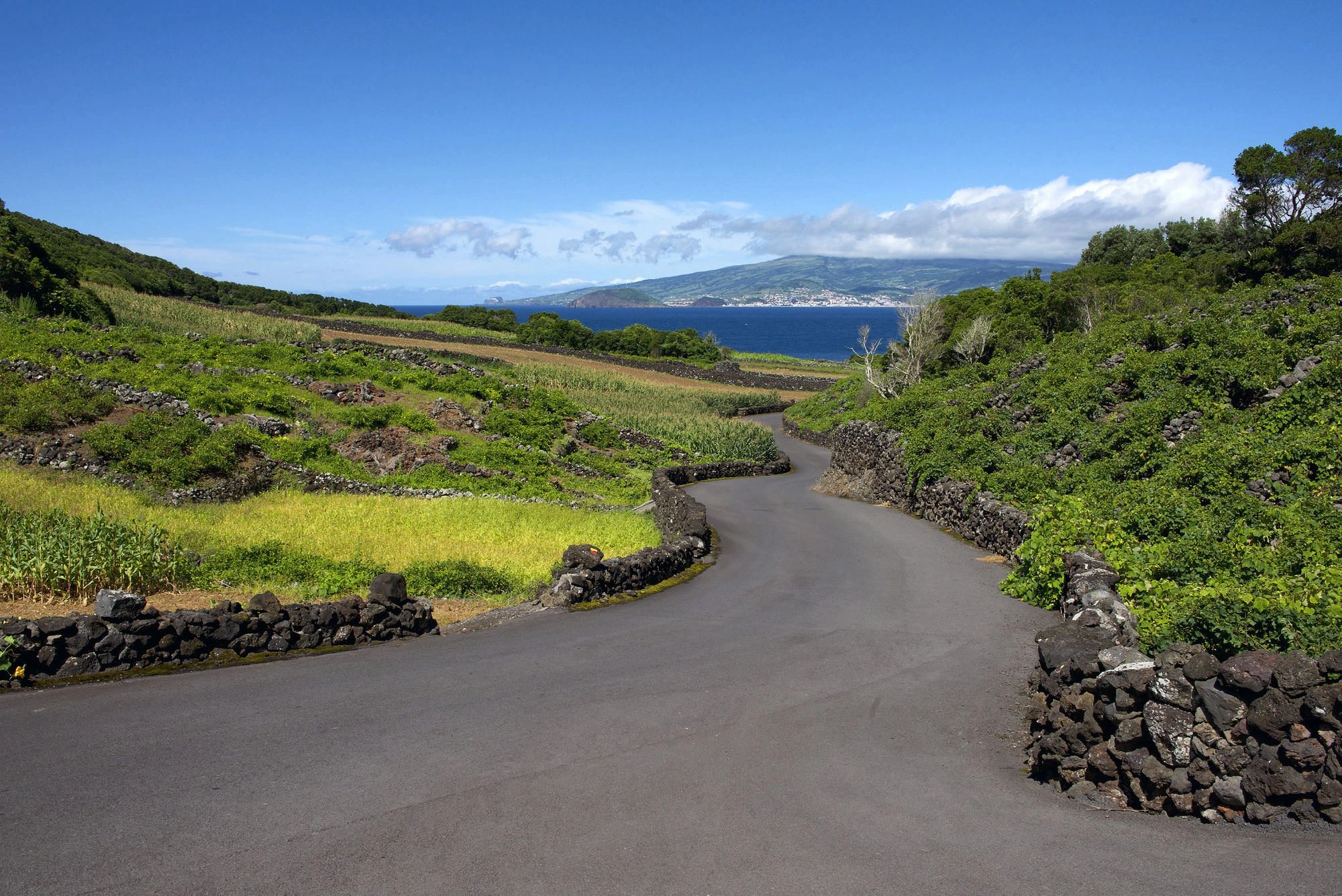 Wegabschnitt unterhalb von Criação Velha