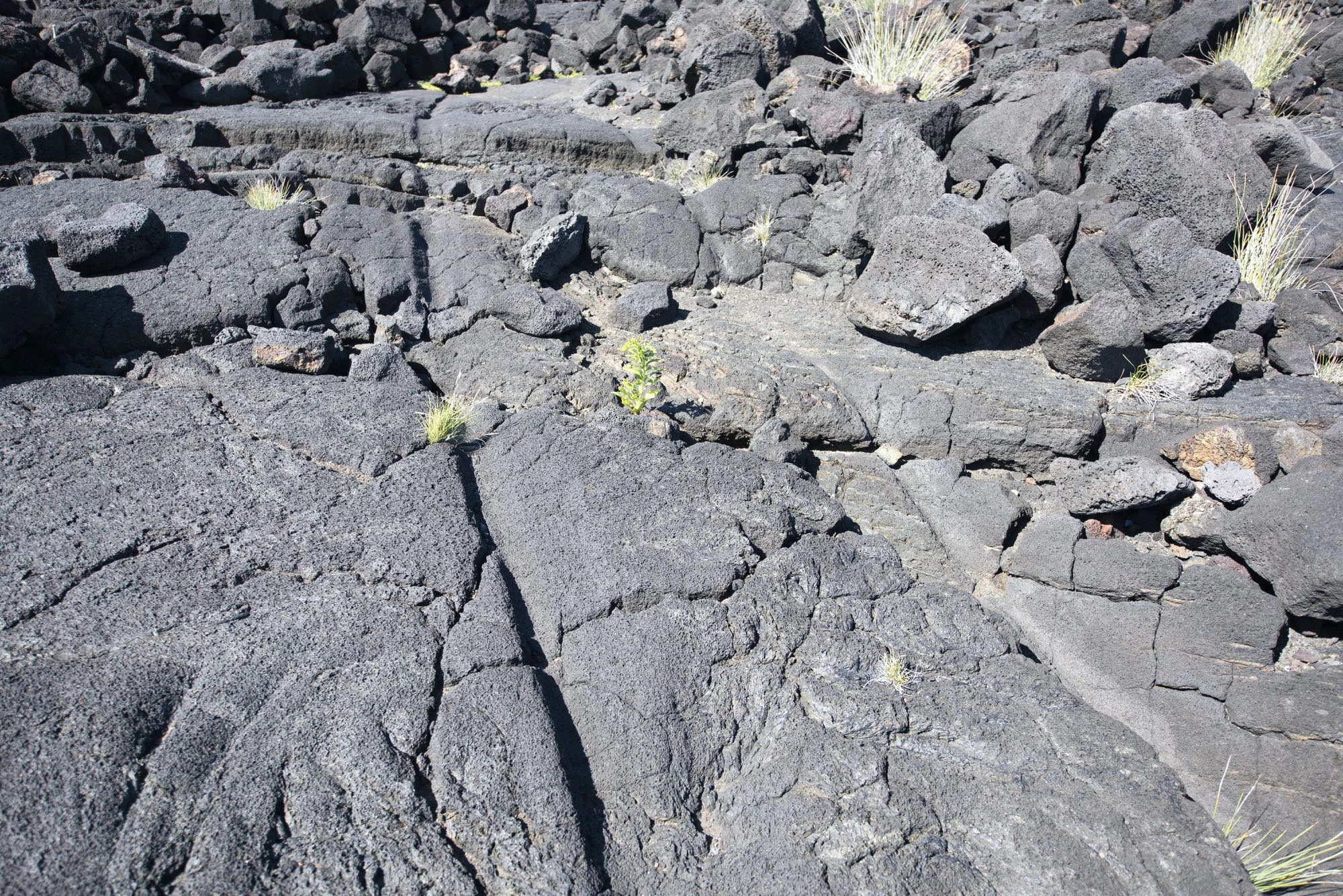 Alte Wagenspuren nahe der Badestelle von Laja das Rosas
