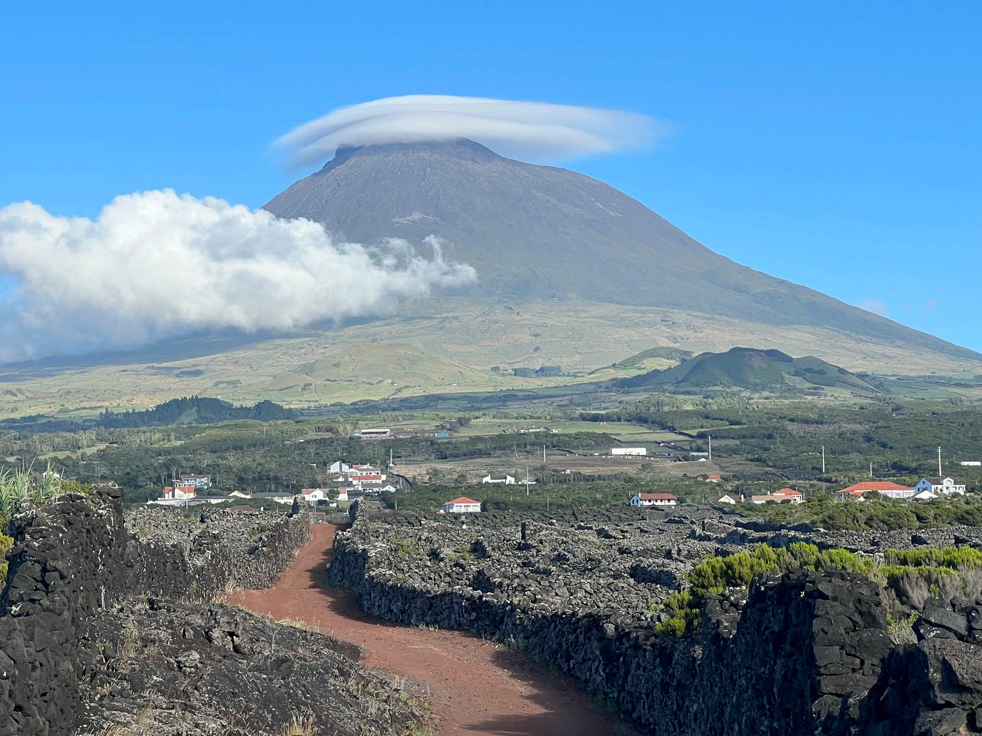 Blick über das Weinanbaugebiet von Criação Velha auf den Pico