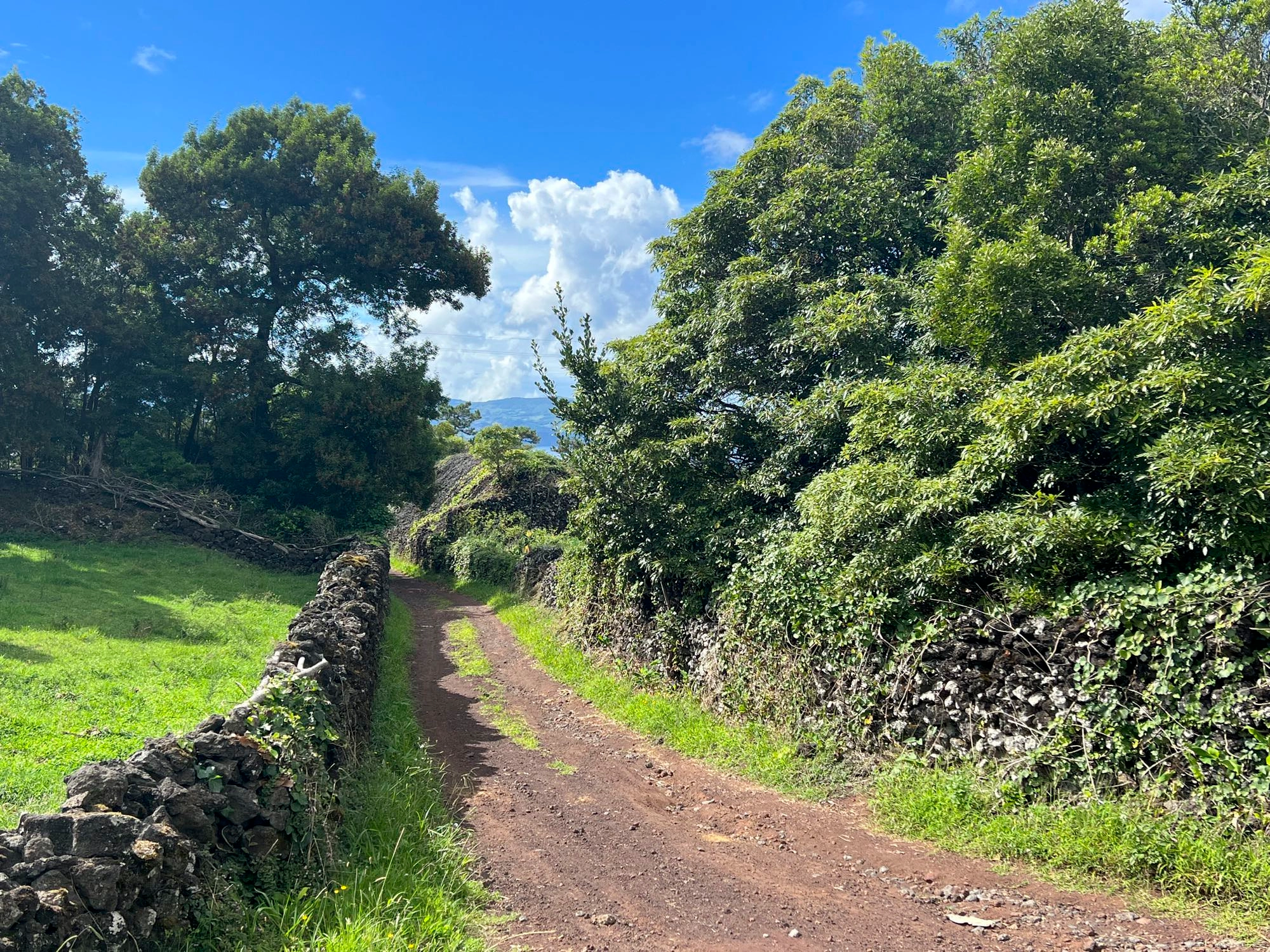 Wegabschnitt vor der Quinta das Rosas