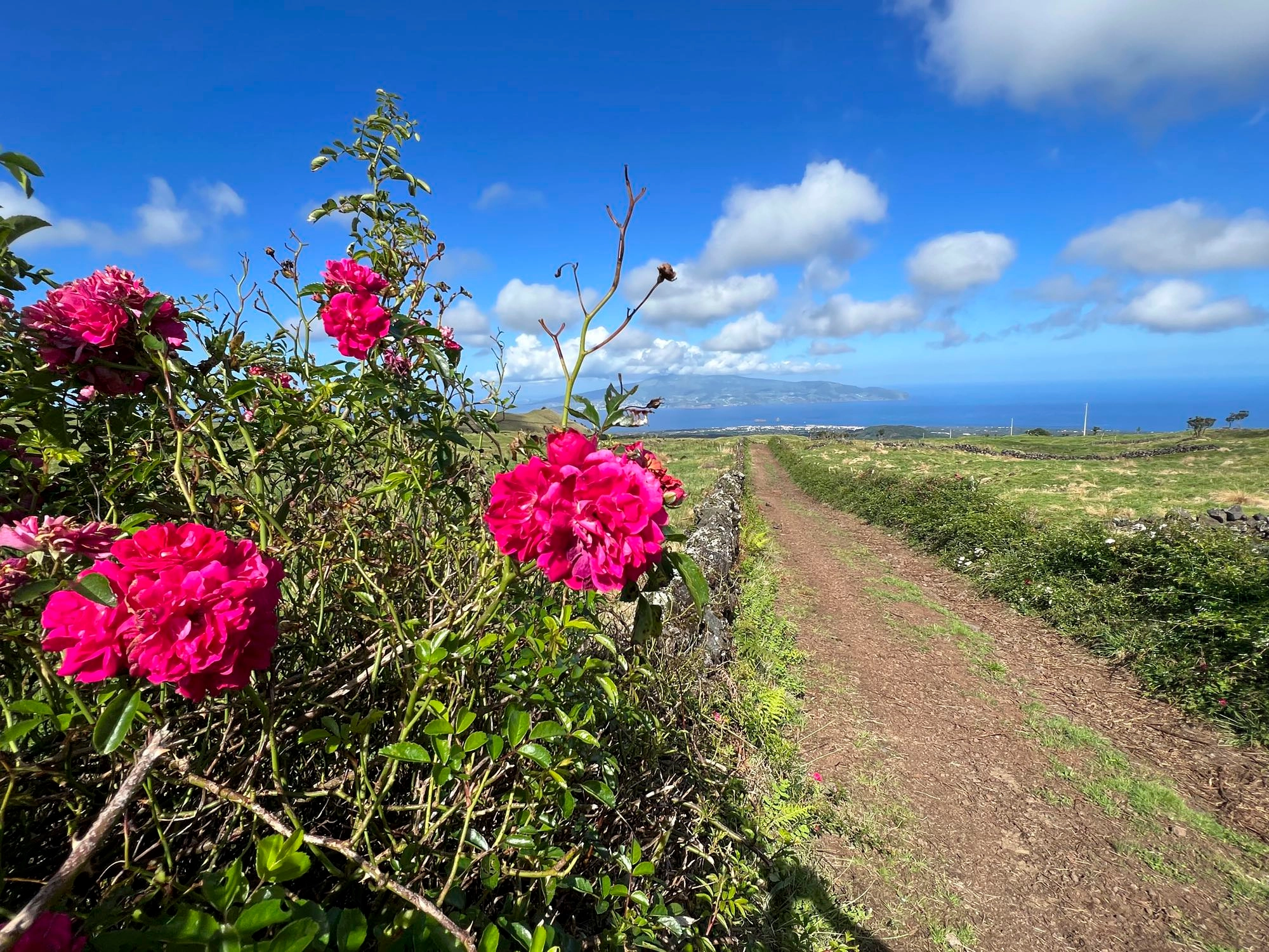 Abstieg Richtung Quinta das Rosas mit Blick auf Faial