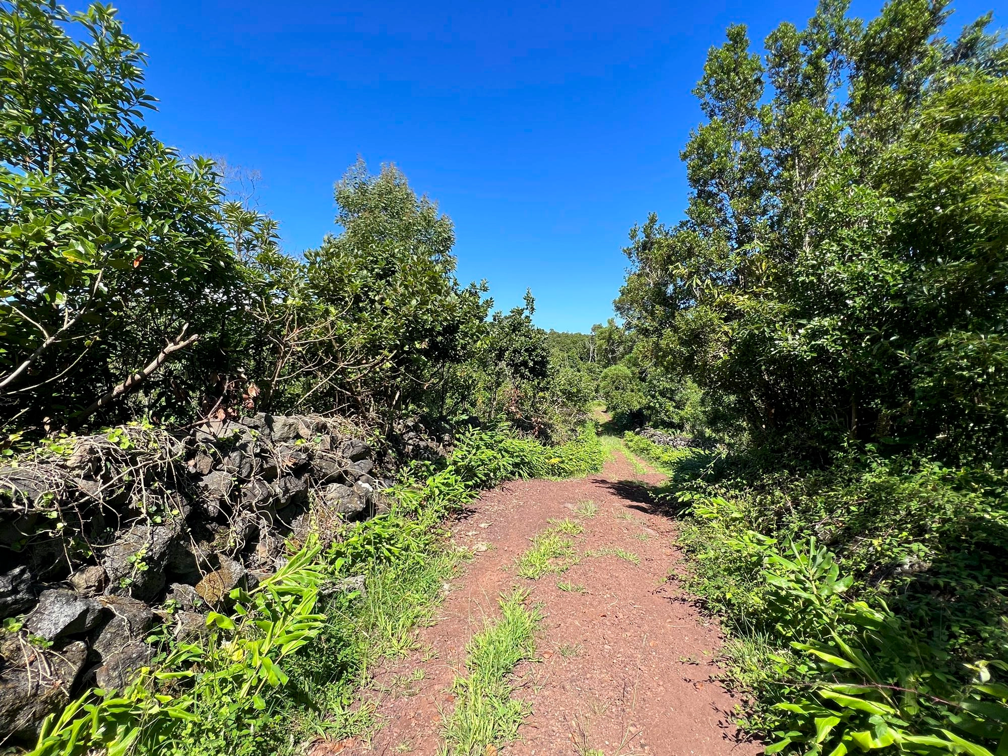 Wegabschnitt vor der Quinta das Rosas