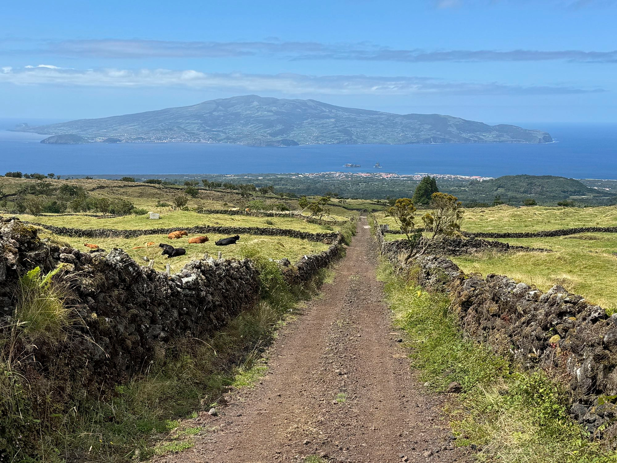 Abstieg Richtung Quinta das Rosas mit Blick auf Faial