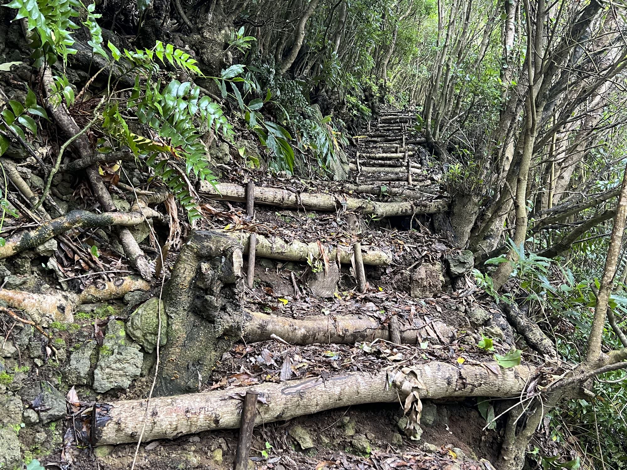 Über Treppen geht es ab der ER1 steil nach oben