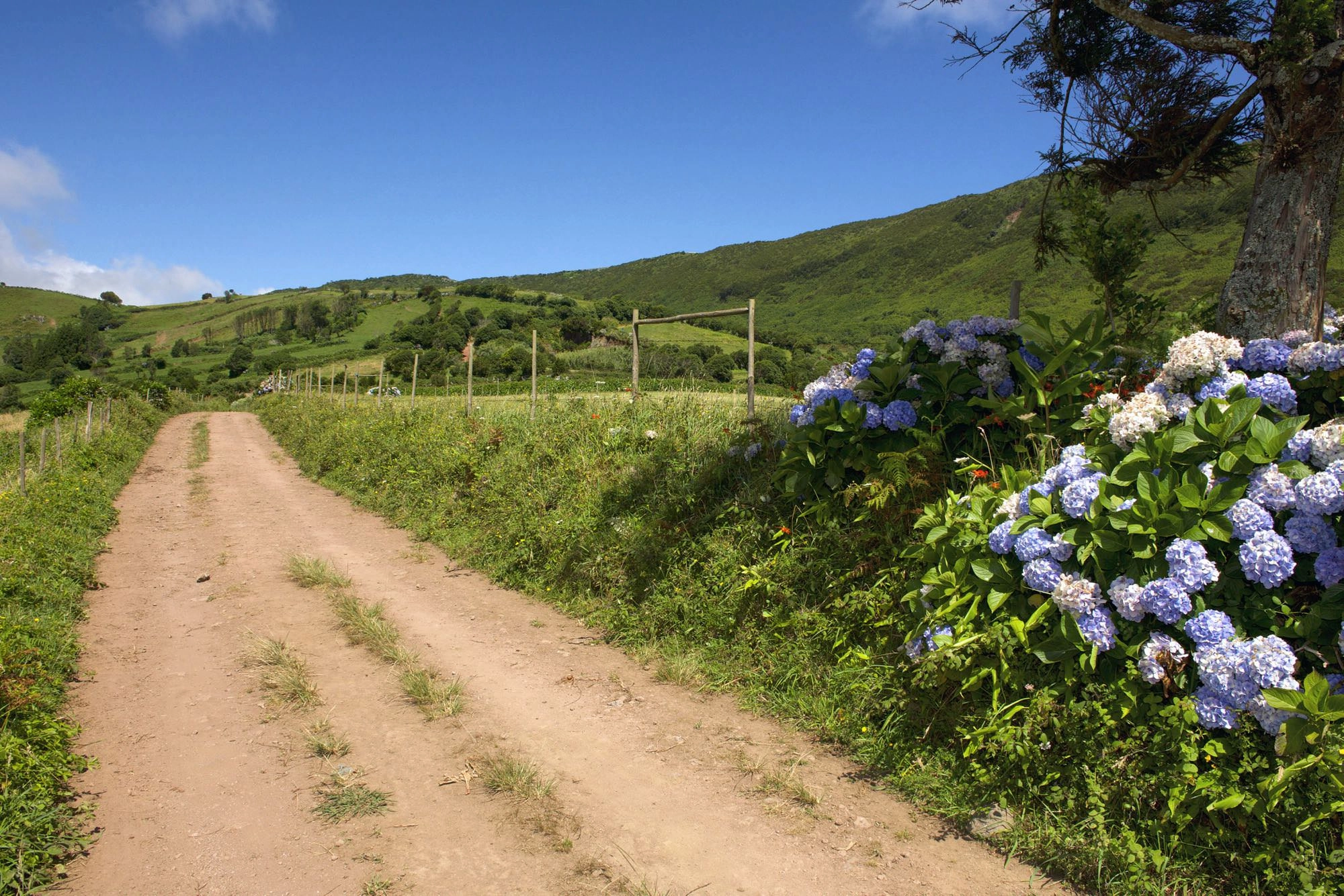 Wegabschnitt im Graben von Pedro Miguel