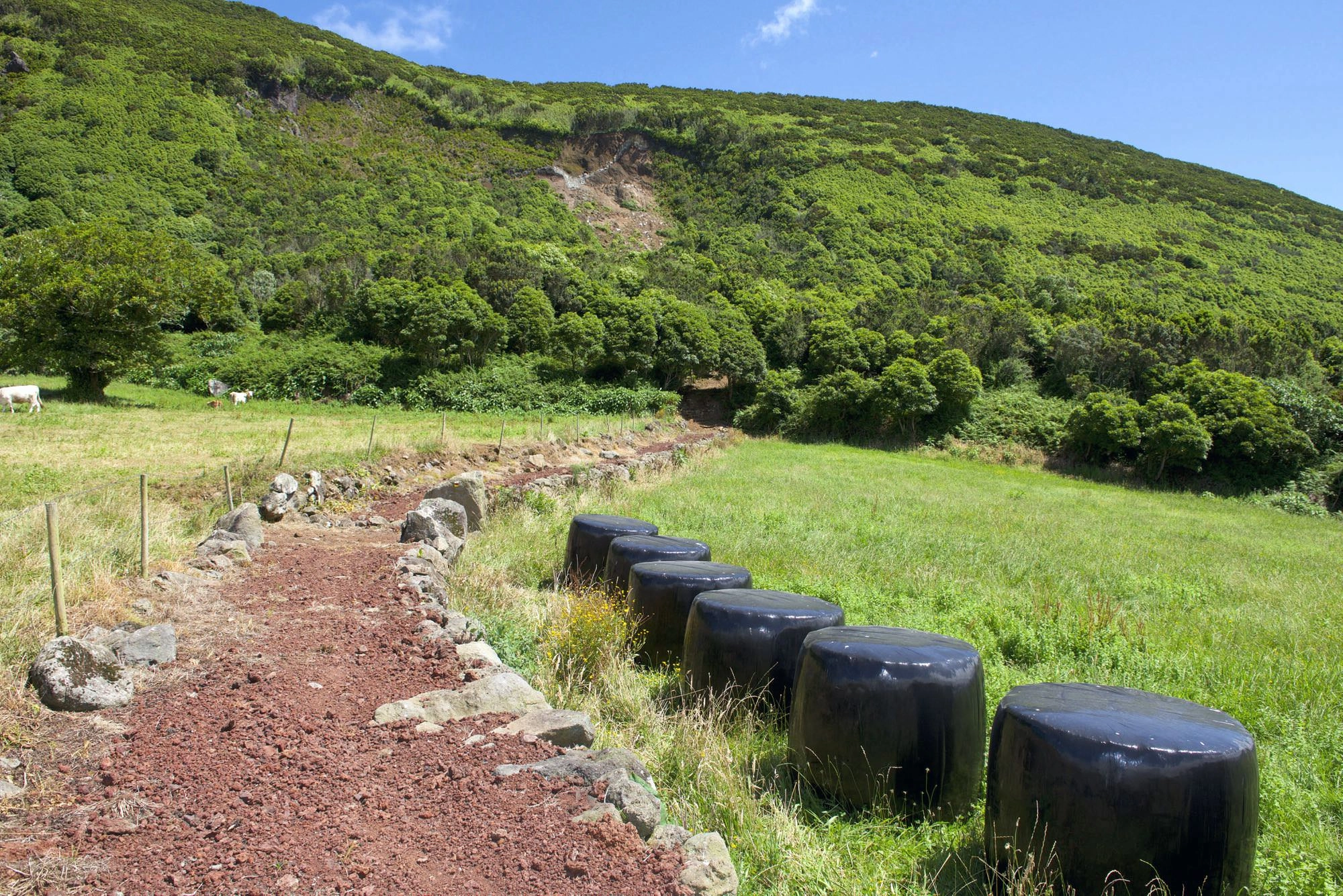Wegabschnitt im Bereich Lomba Grande