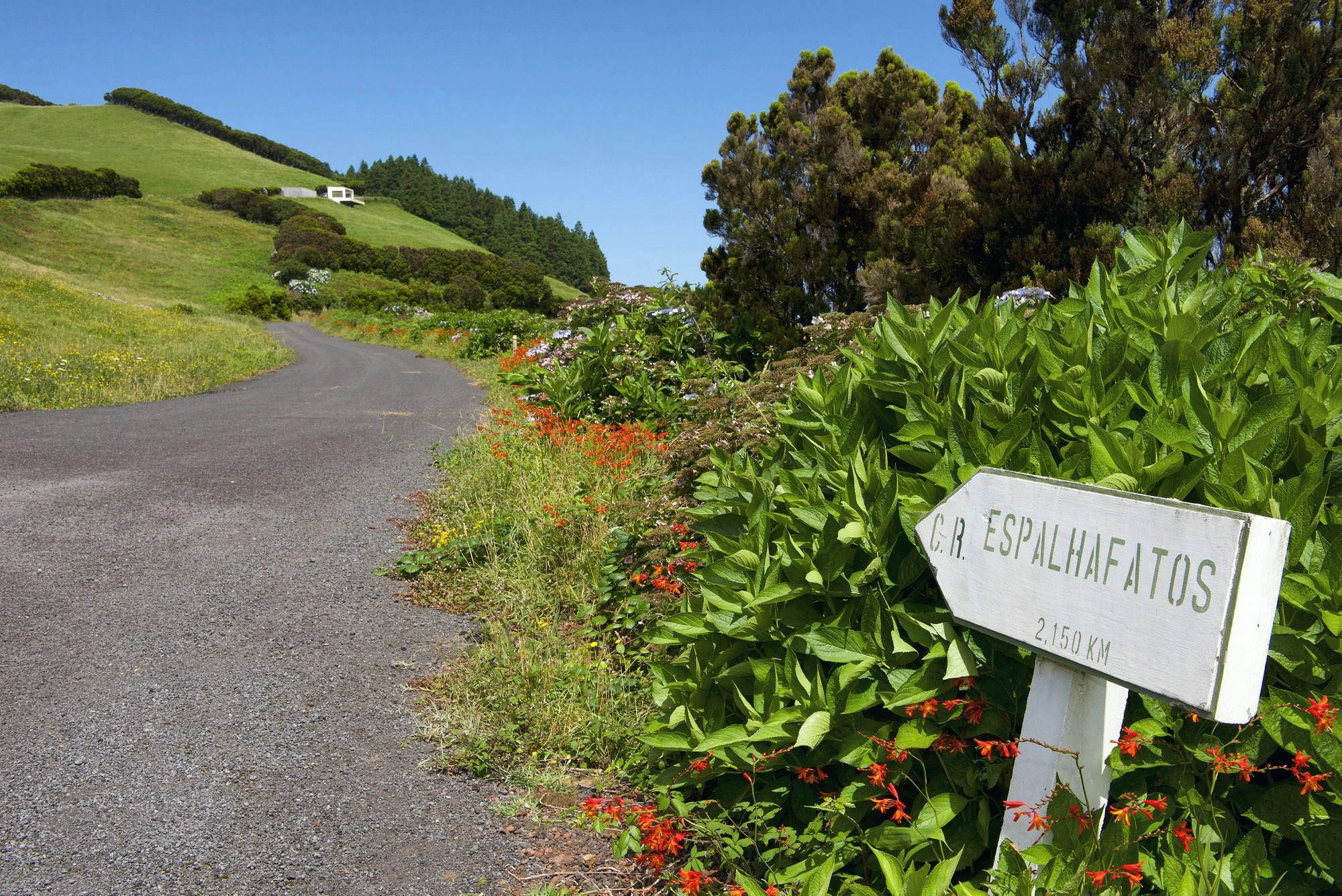 Ein schmales Sträßlein führt oberhalb von Ribeirinha nach Espalhafatos