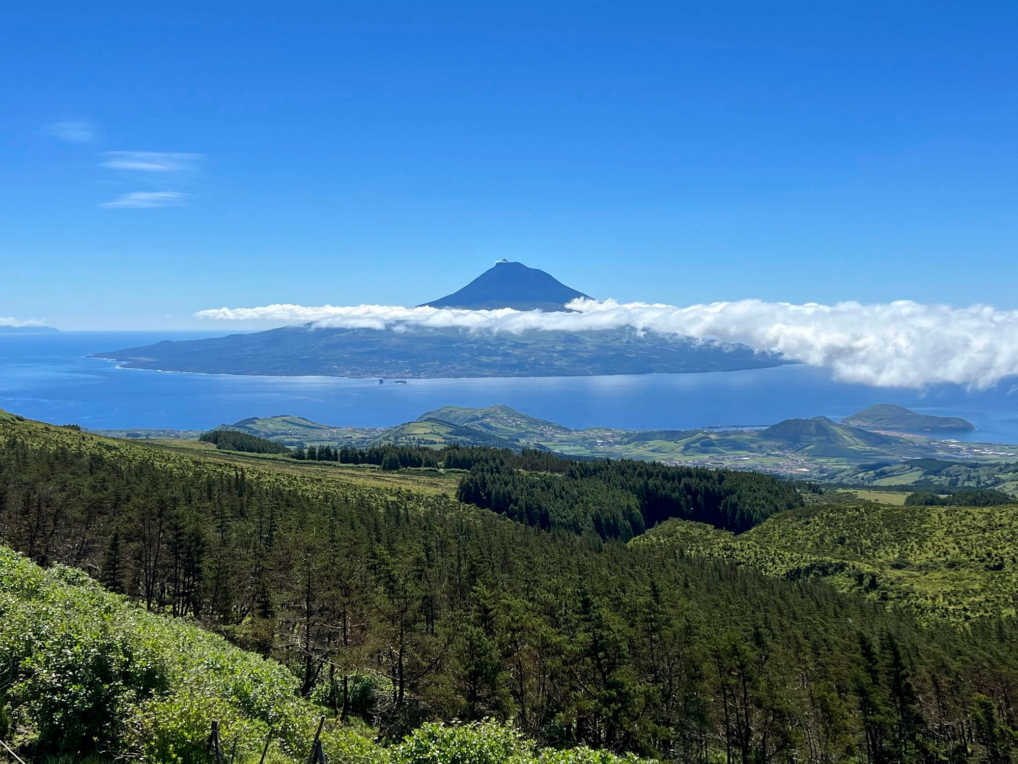 Blick von der Caldeira über den Kanal nach Pico