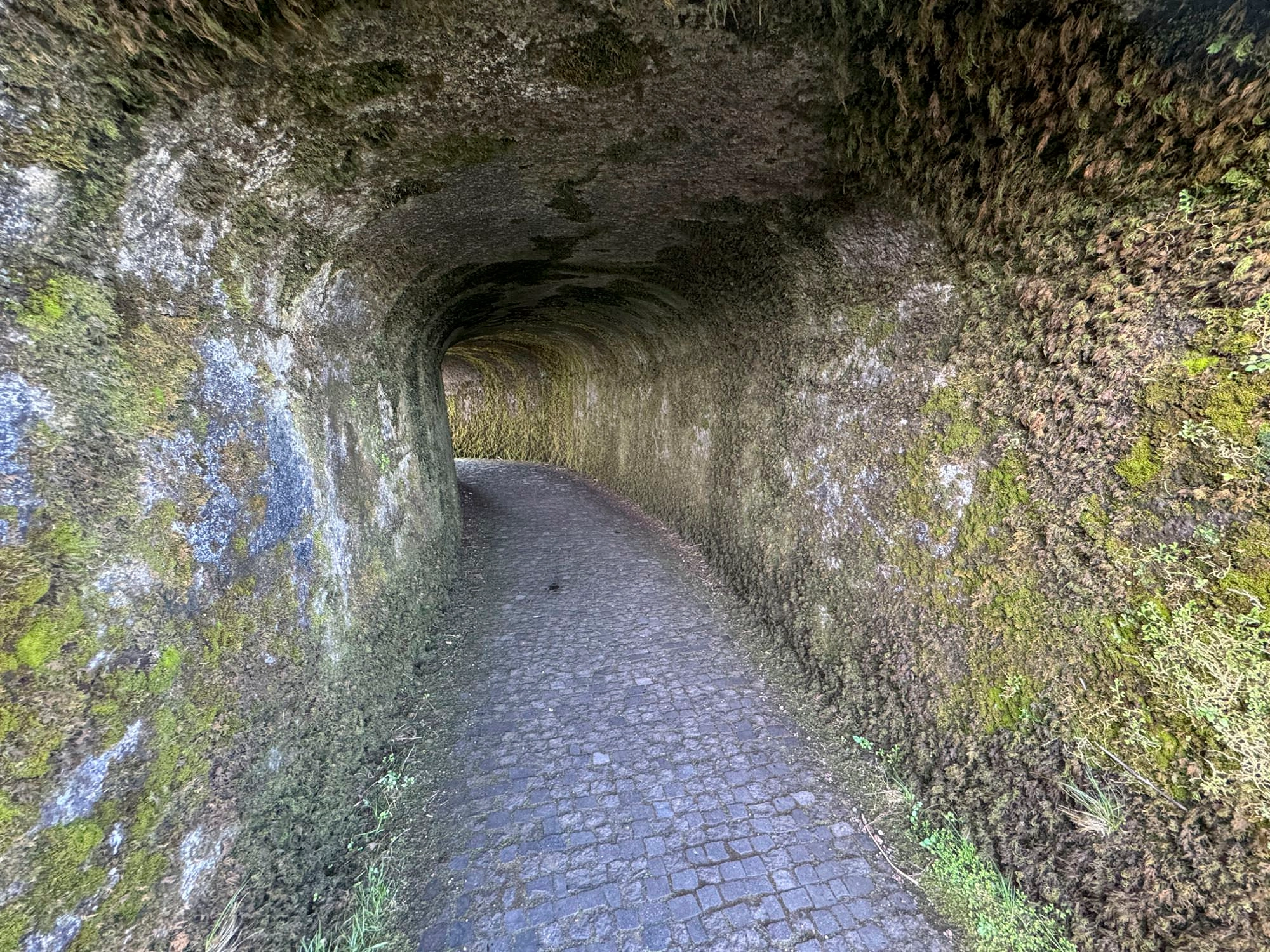 Tunnel am Ausgangspunkt