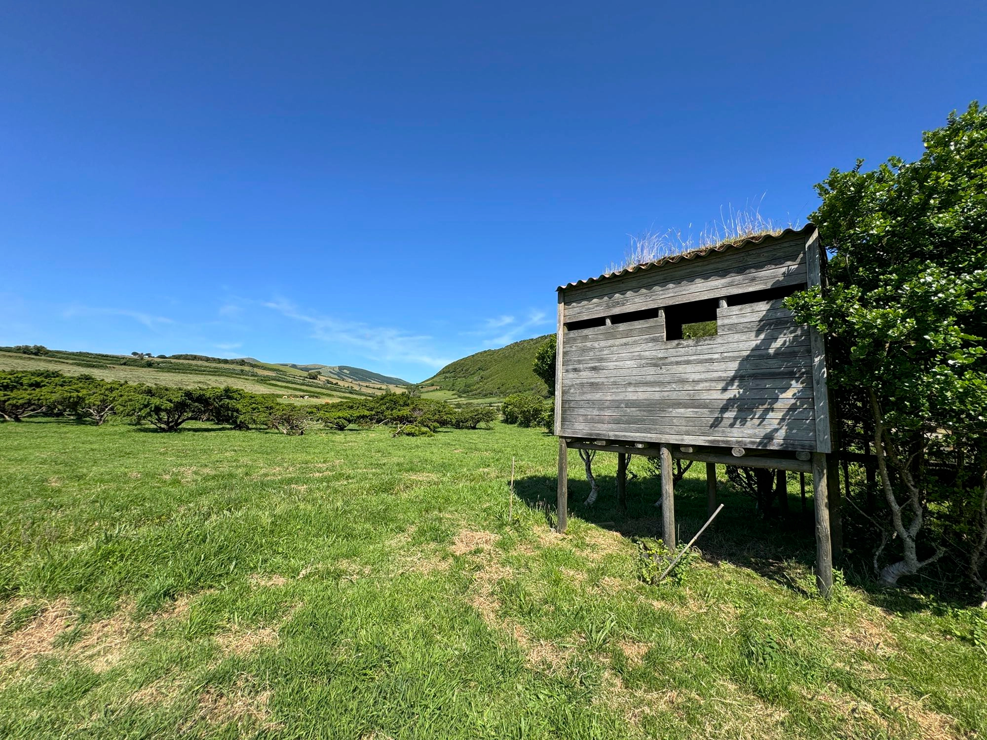 Vogelbeobachtungsstation an den Charcos de Pedro Miguel
