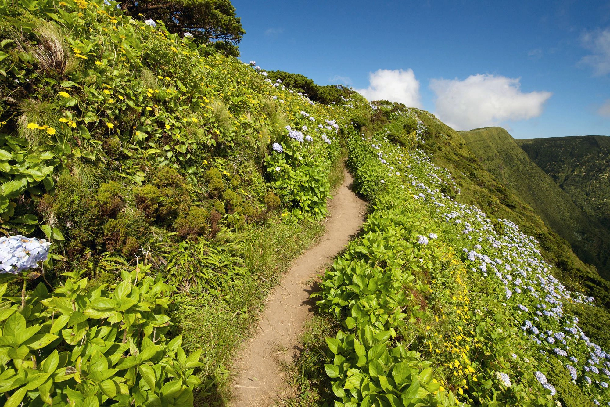 Rundwanderweg um die Caldeira