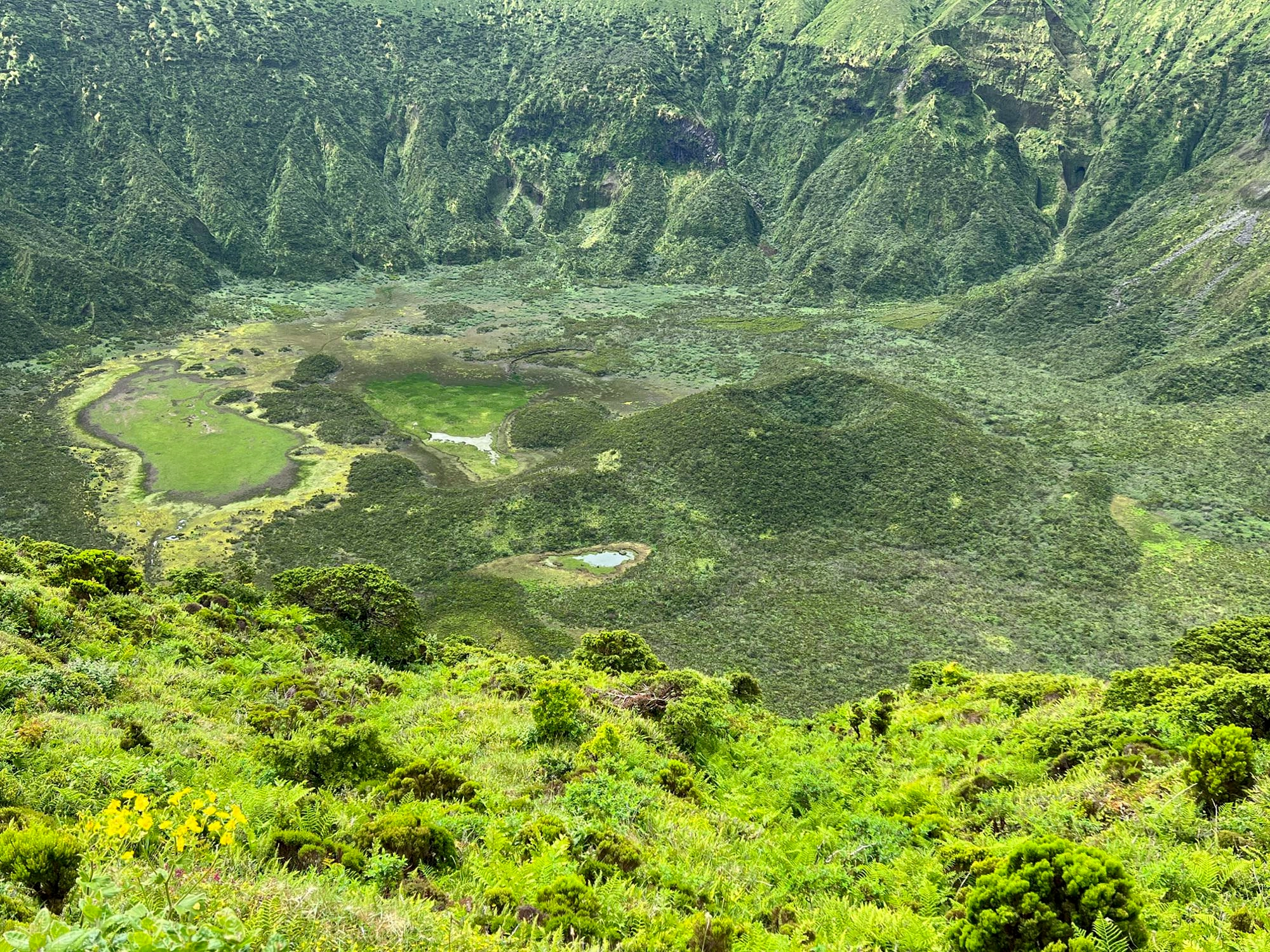 Der Grund der Caldeira ist ein geschütztes Feuchtgebiet