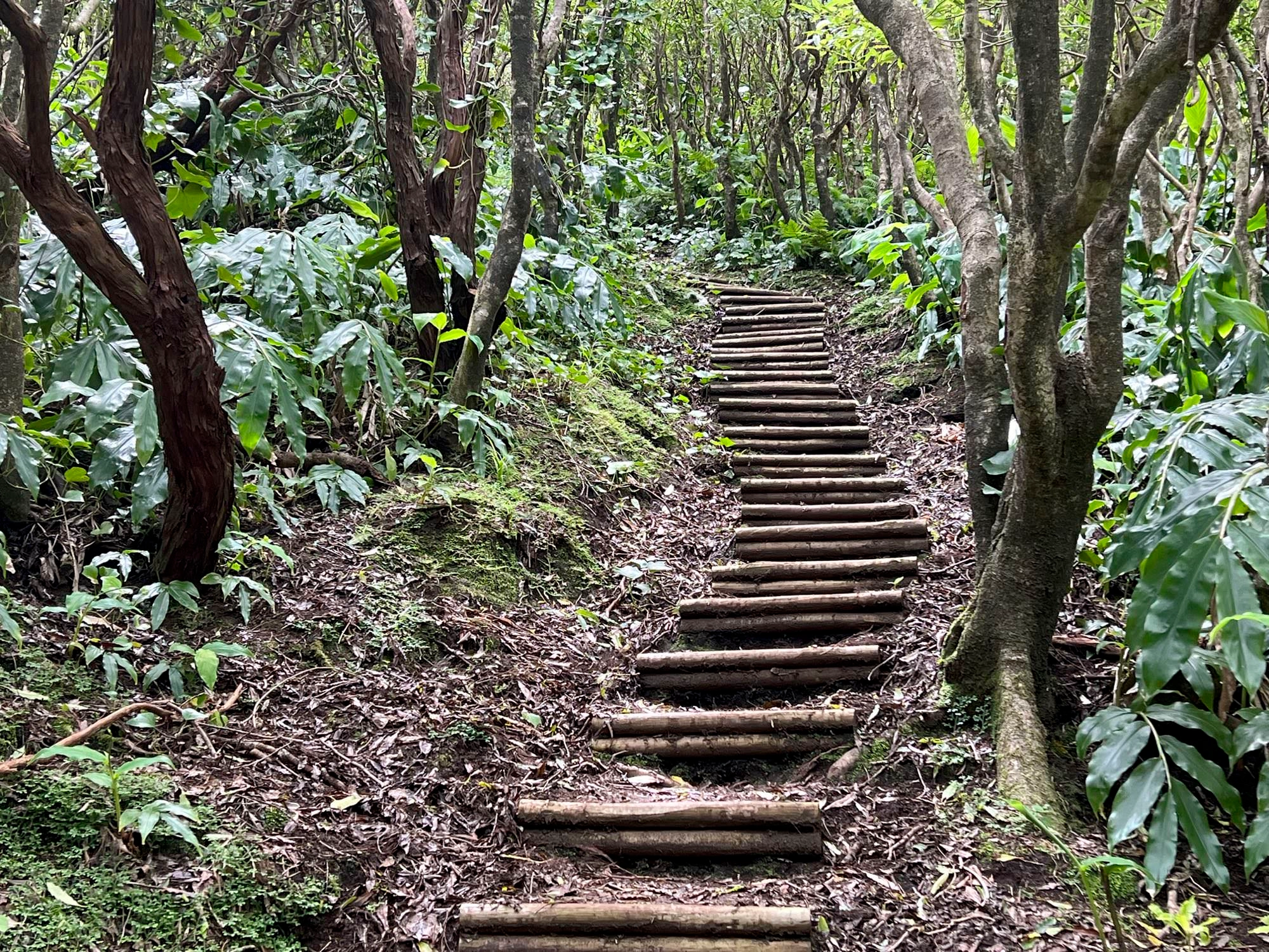 Abstieg am Caldeirão