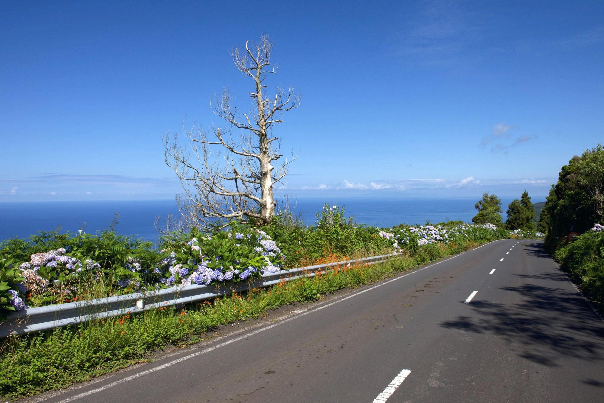 Der Rückweg führt entlang der ER1
