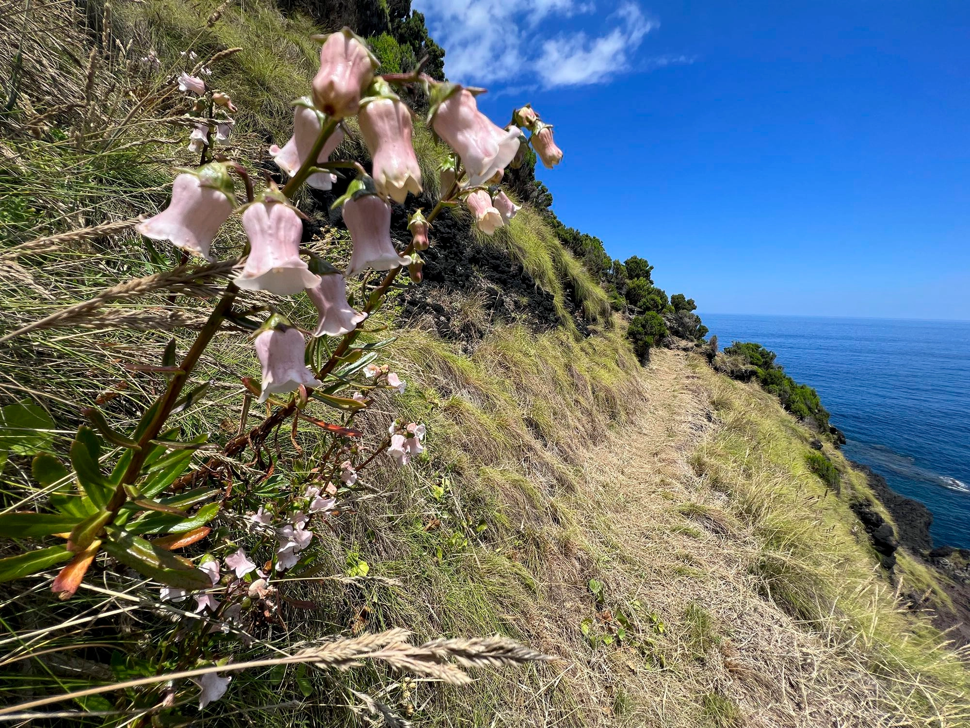 Uferpfad auf dem Weg nach Fajã das Pontas