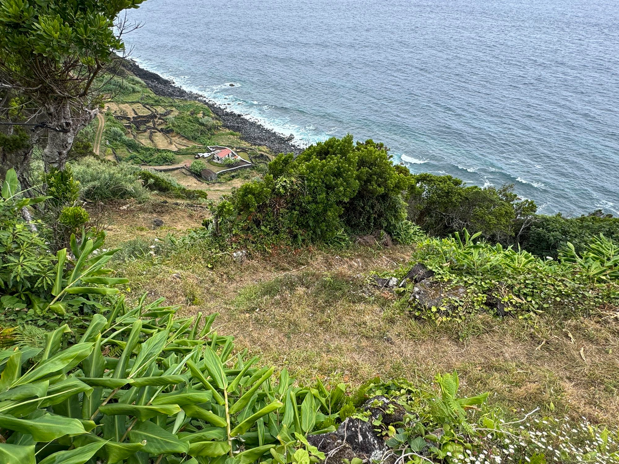 Abstieg nach Fajã do Mero