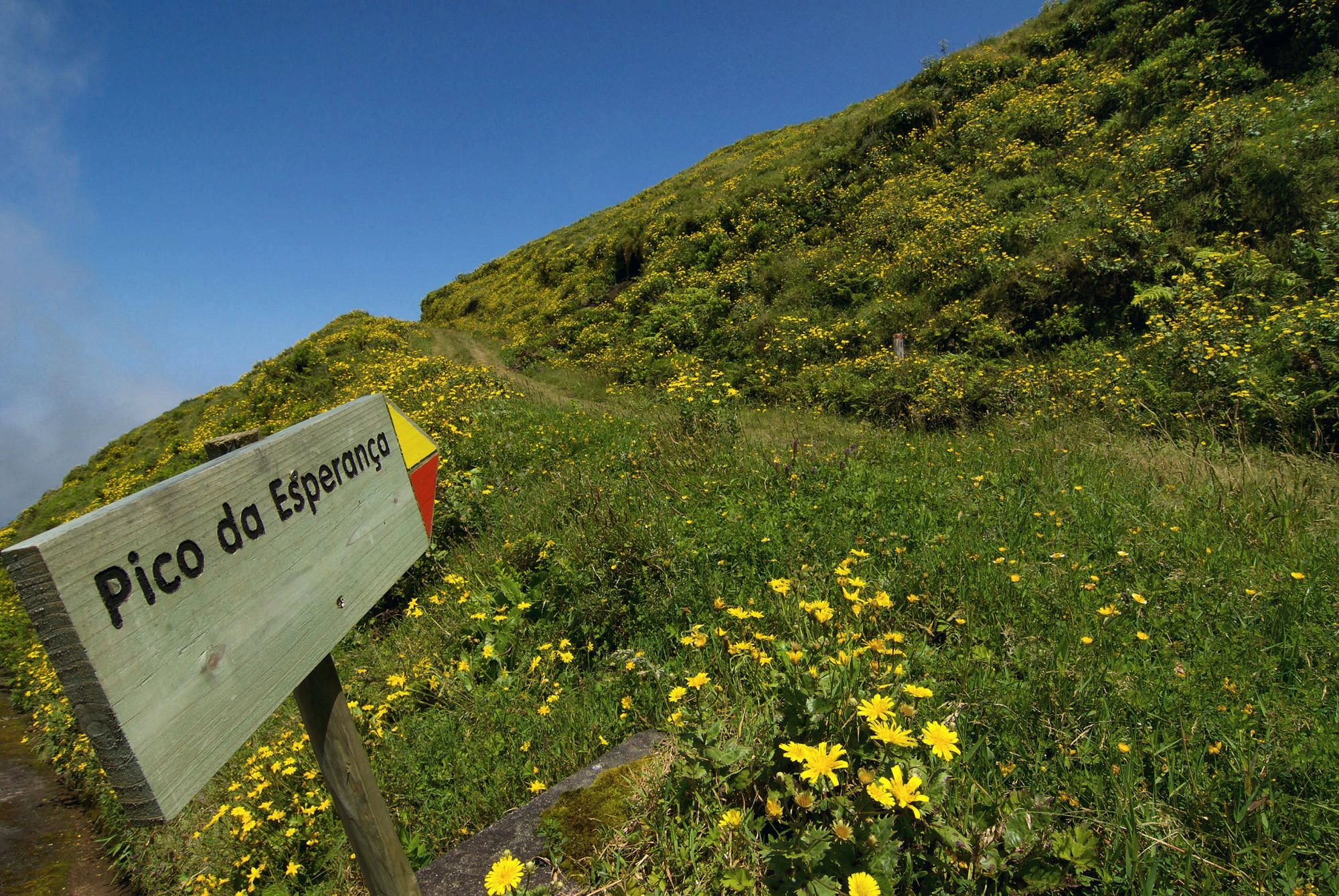EIn kurzer Stichweg führt auf den Pico da Esperança