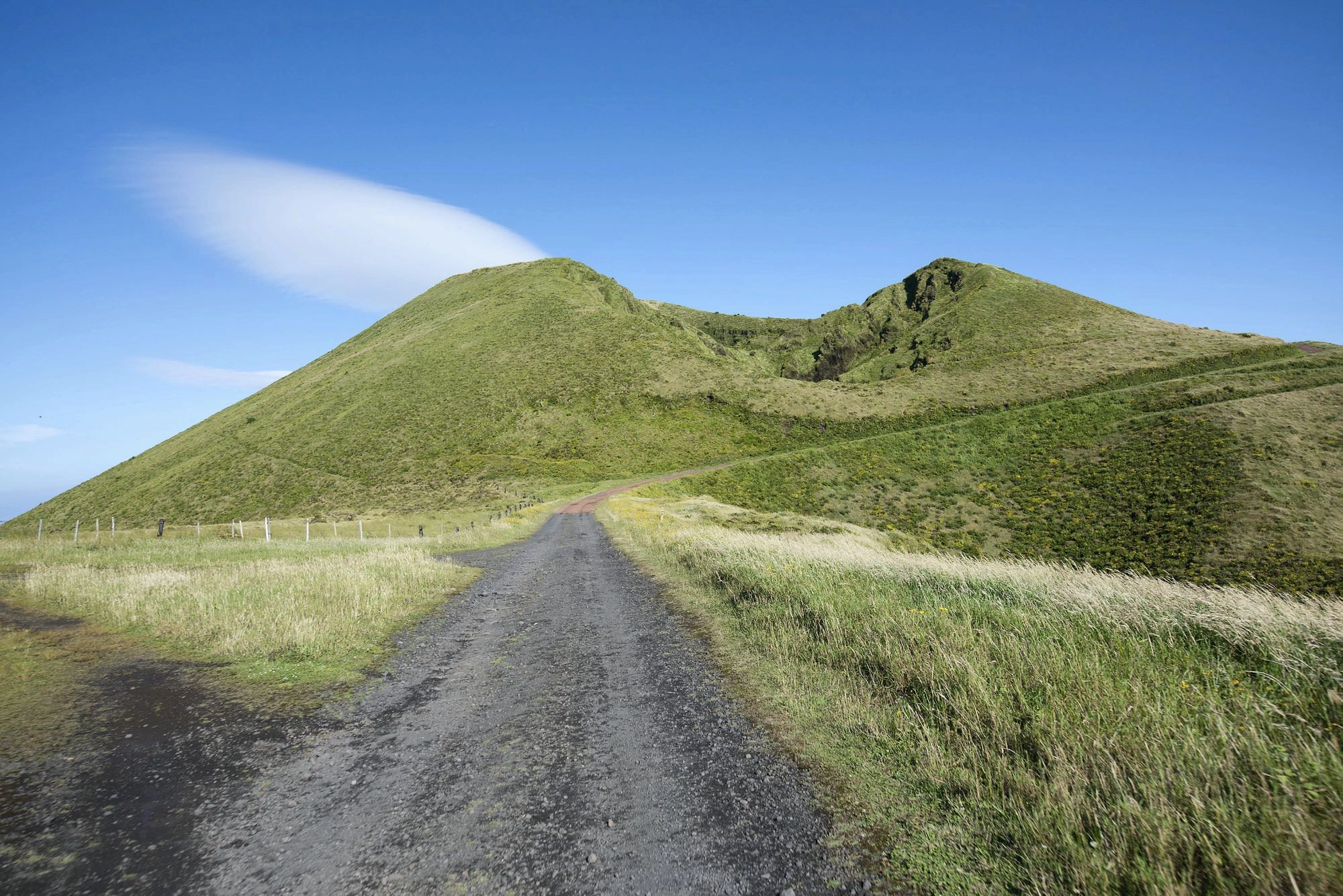 Blick auf den Morro Pelado