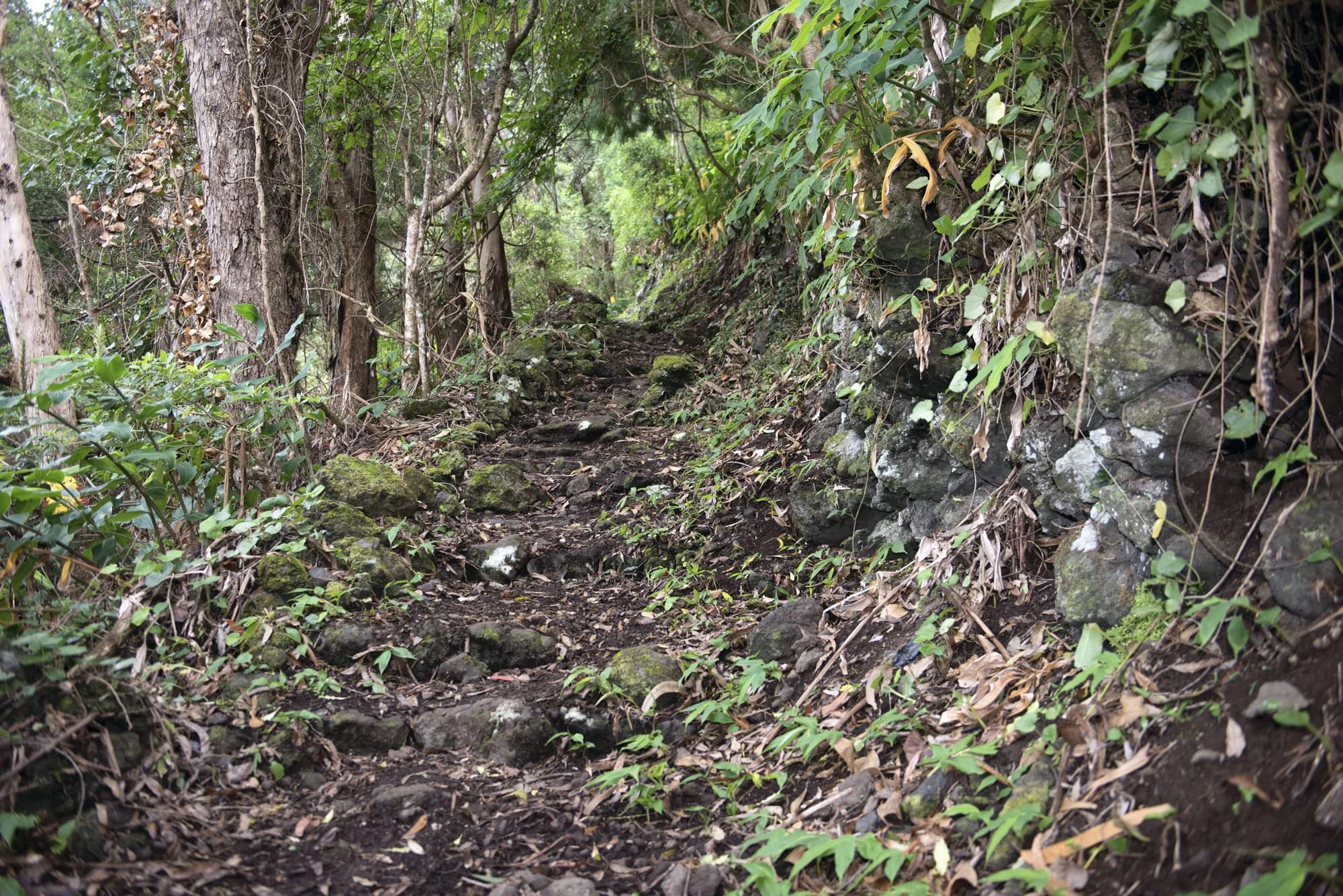 Abstiegsweg nach Fajã do Ouvidor