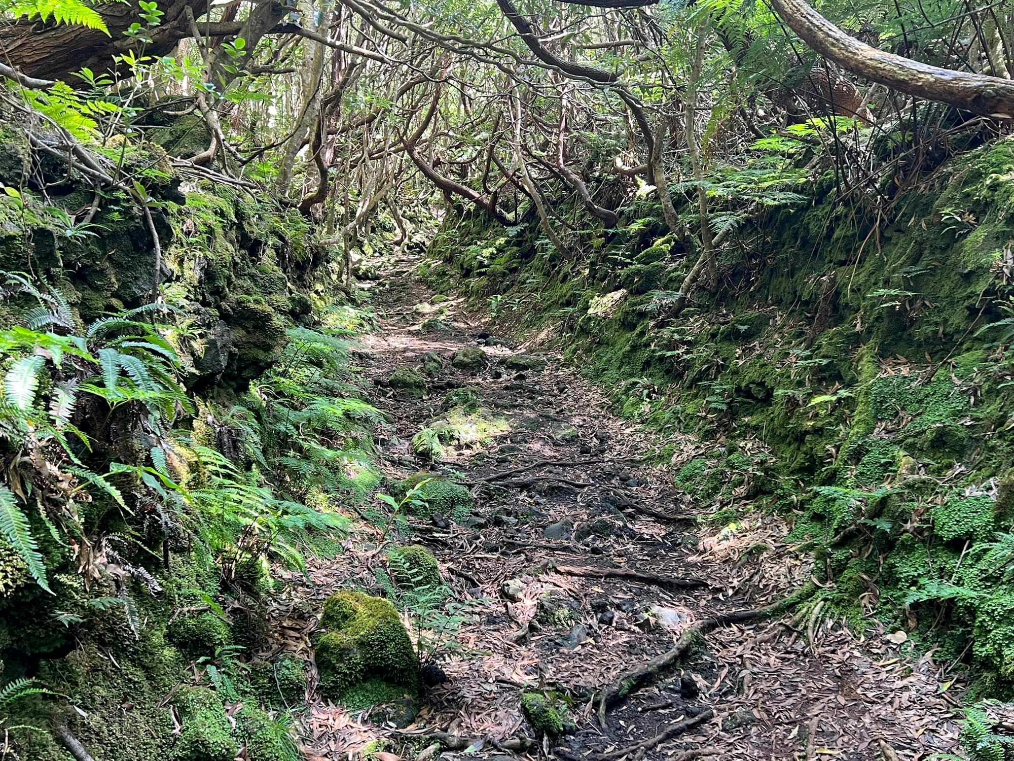Teile des Wegs folgen einem uralten Verbindungsweg