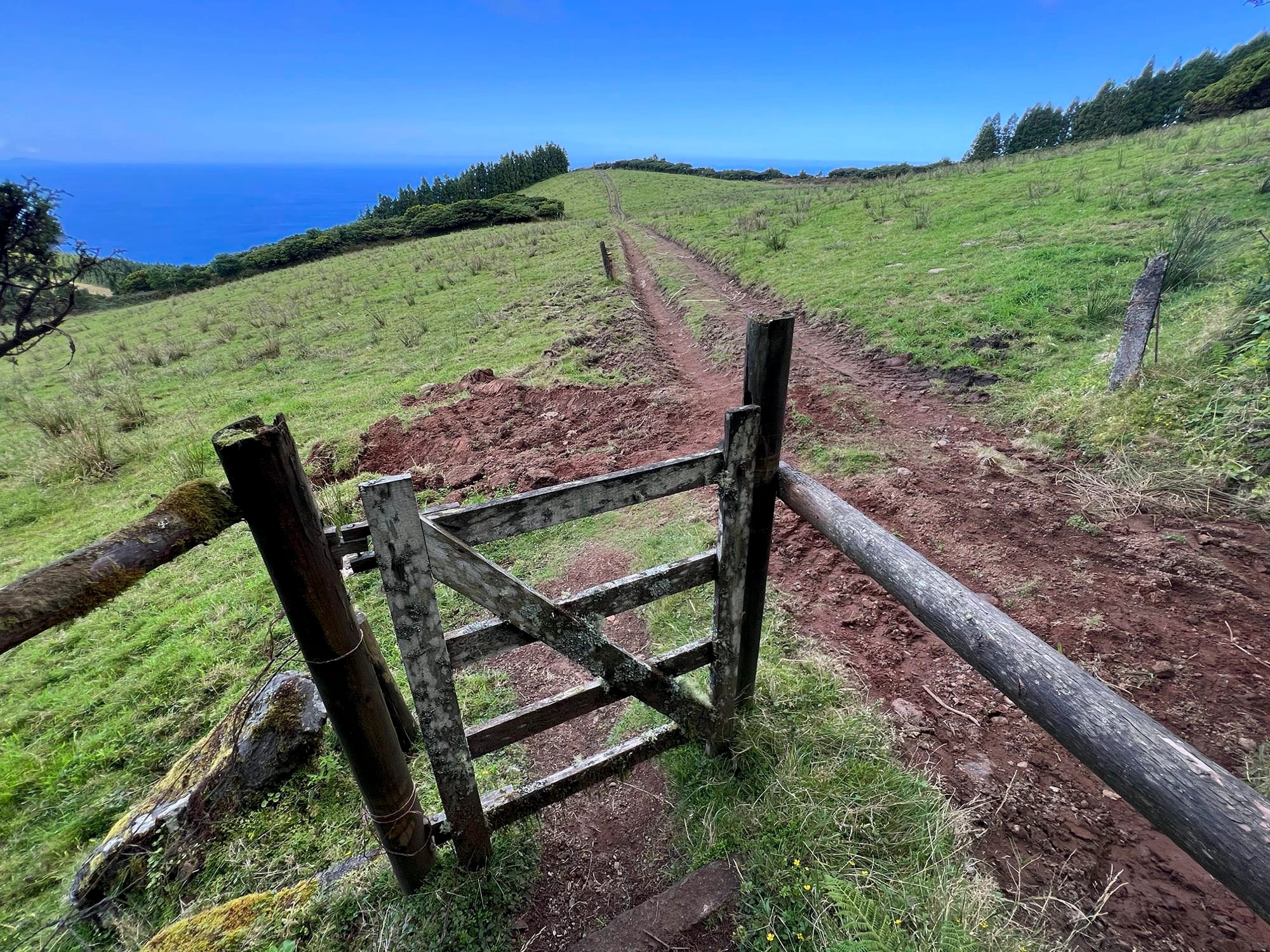 Der Wanderweg führt auch teilweise über Weideland