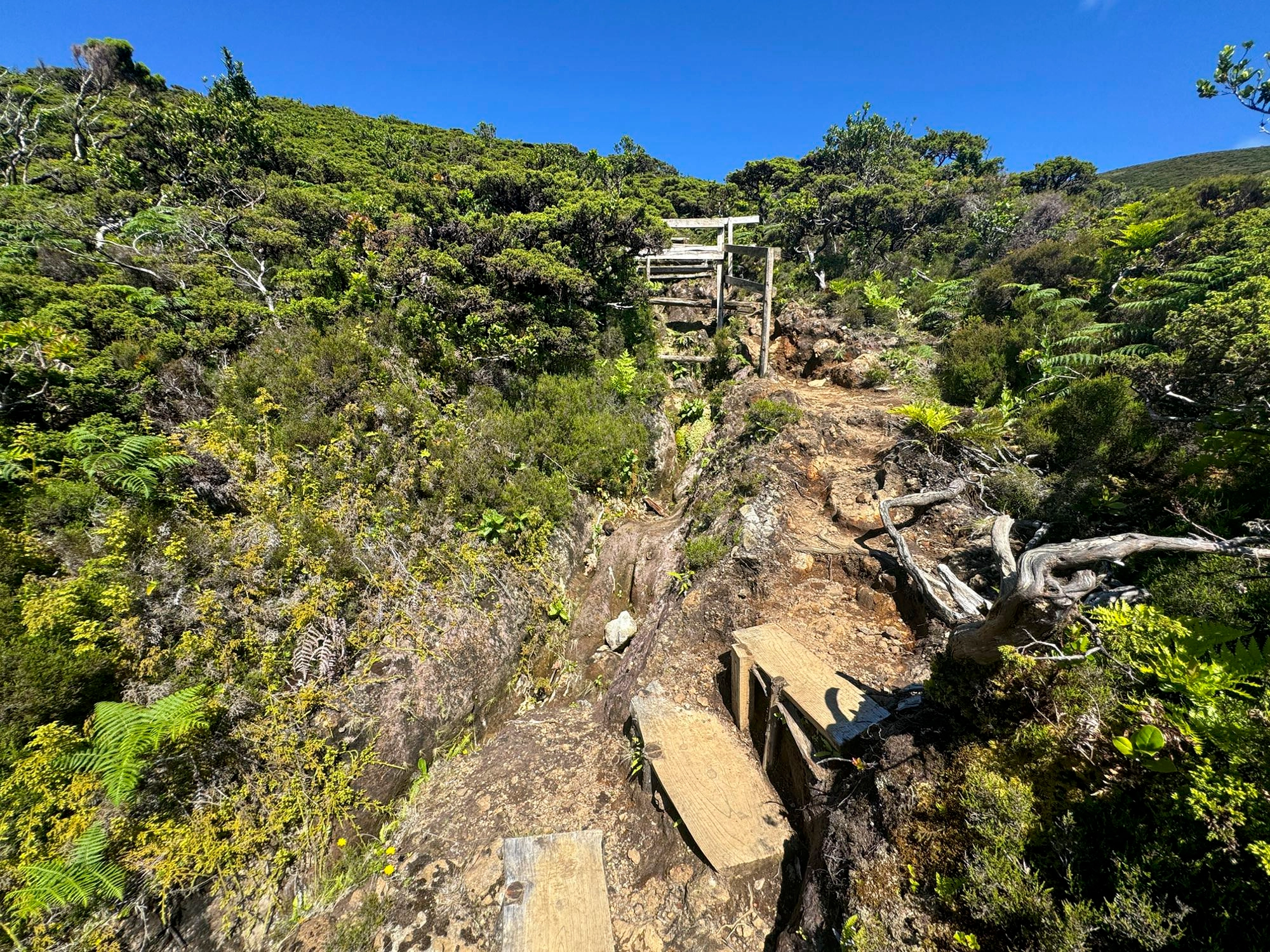 Schlussanstieg zum Pico da Lagoínha