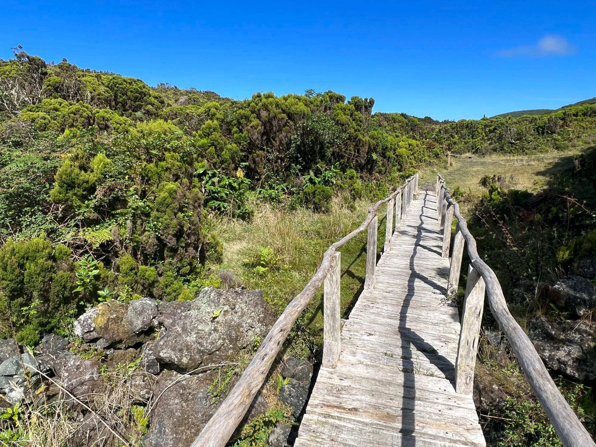 Der Wanderweg führt stellenweise über Holzstege durch das Naturschutzgebiet