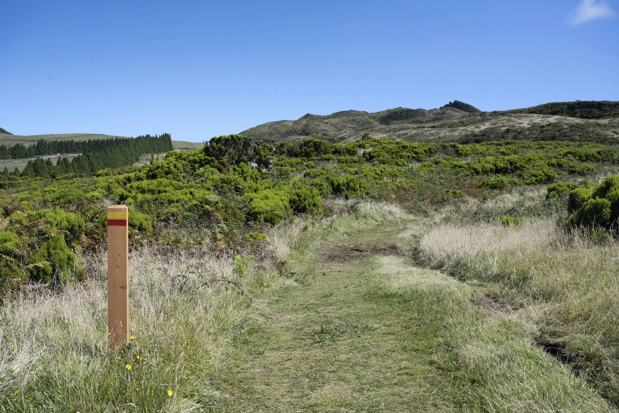 Die Wanderung verläuft über saftige Hochlandwiesen