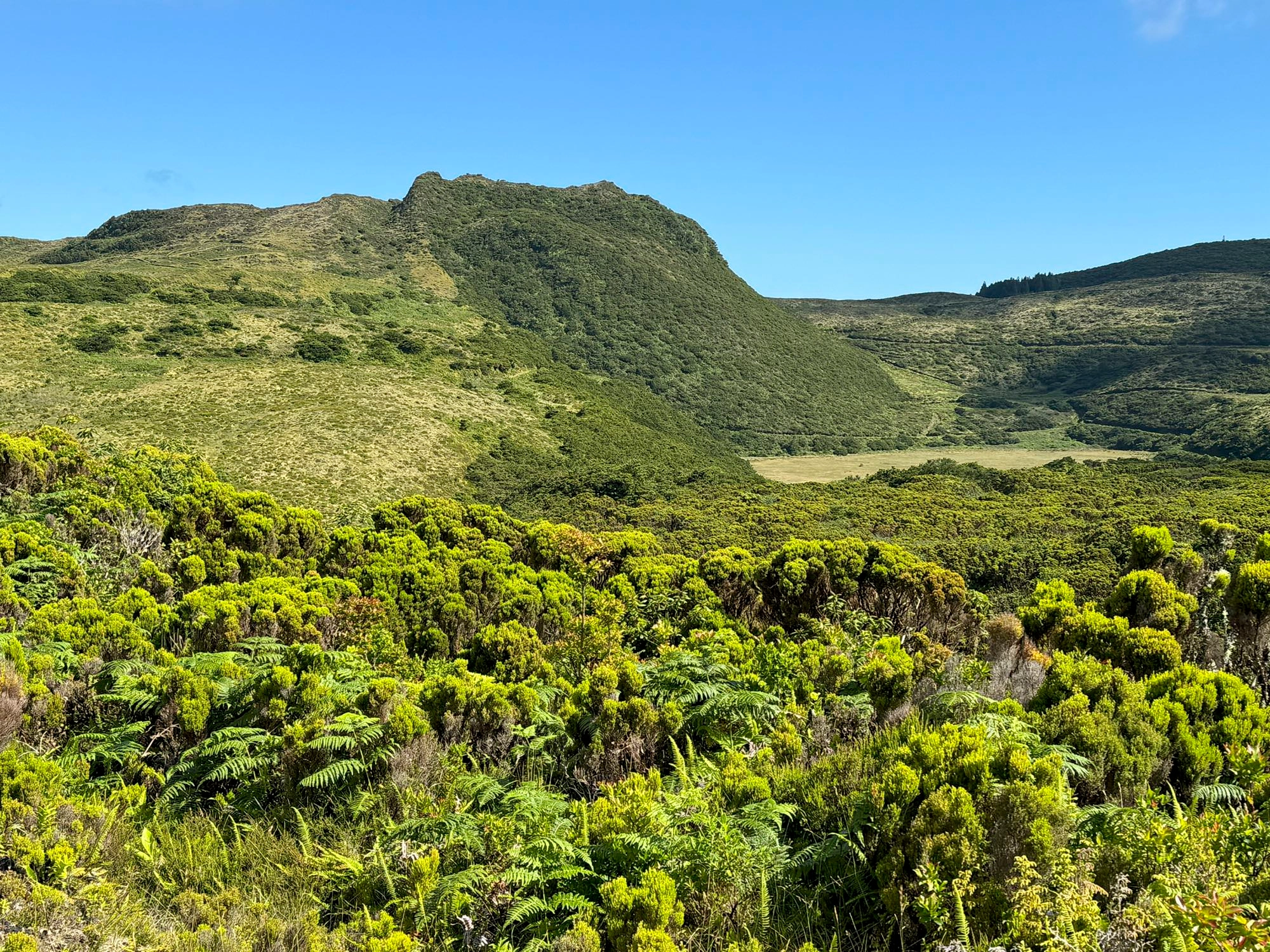 Der Wanderweg führt am Reserva Florestal Natural Parcial do Biscoito da Ferraria vorbei