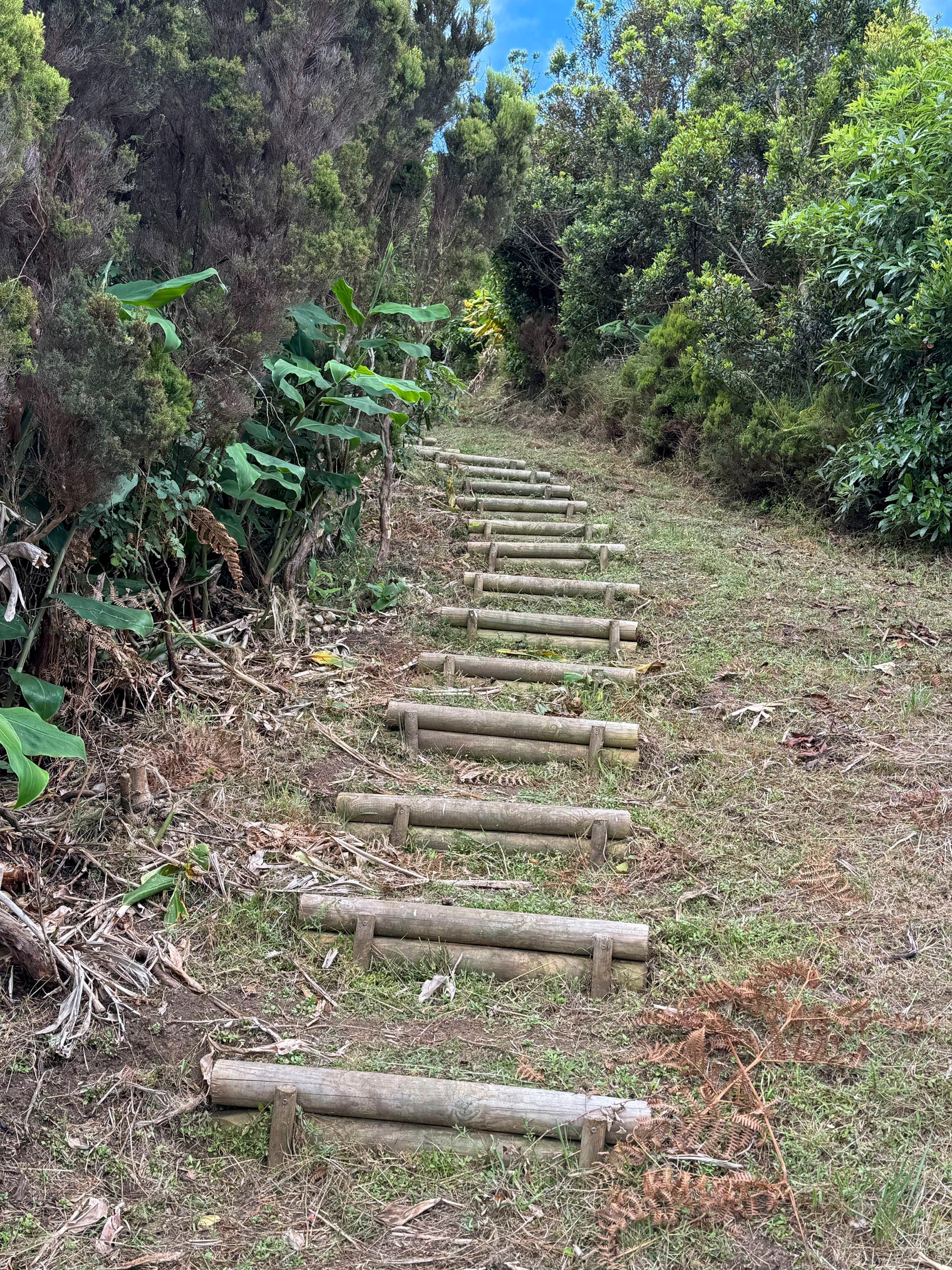 steiler Abstieg von der Caldeirinha