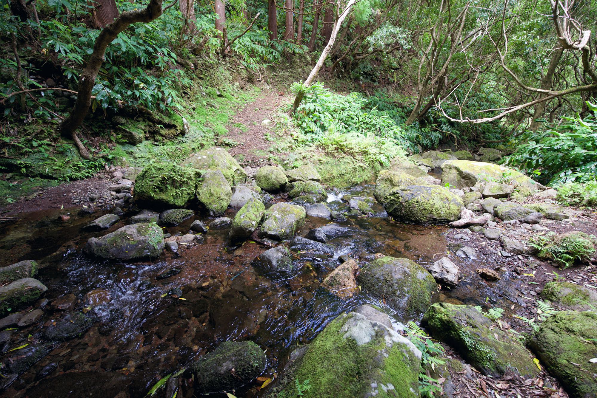 Ribeira das Barrosas