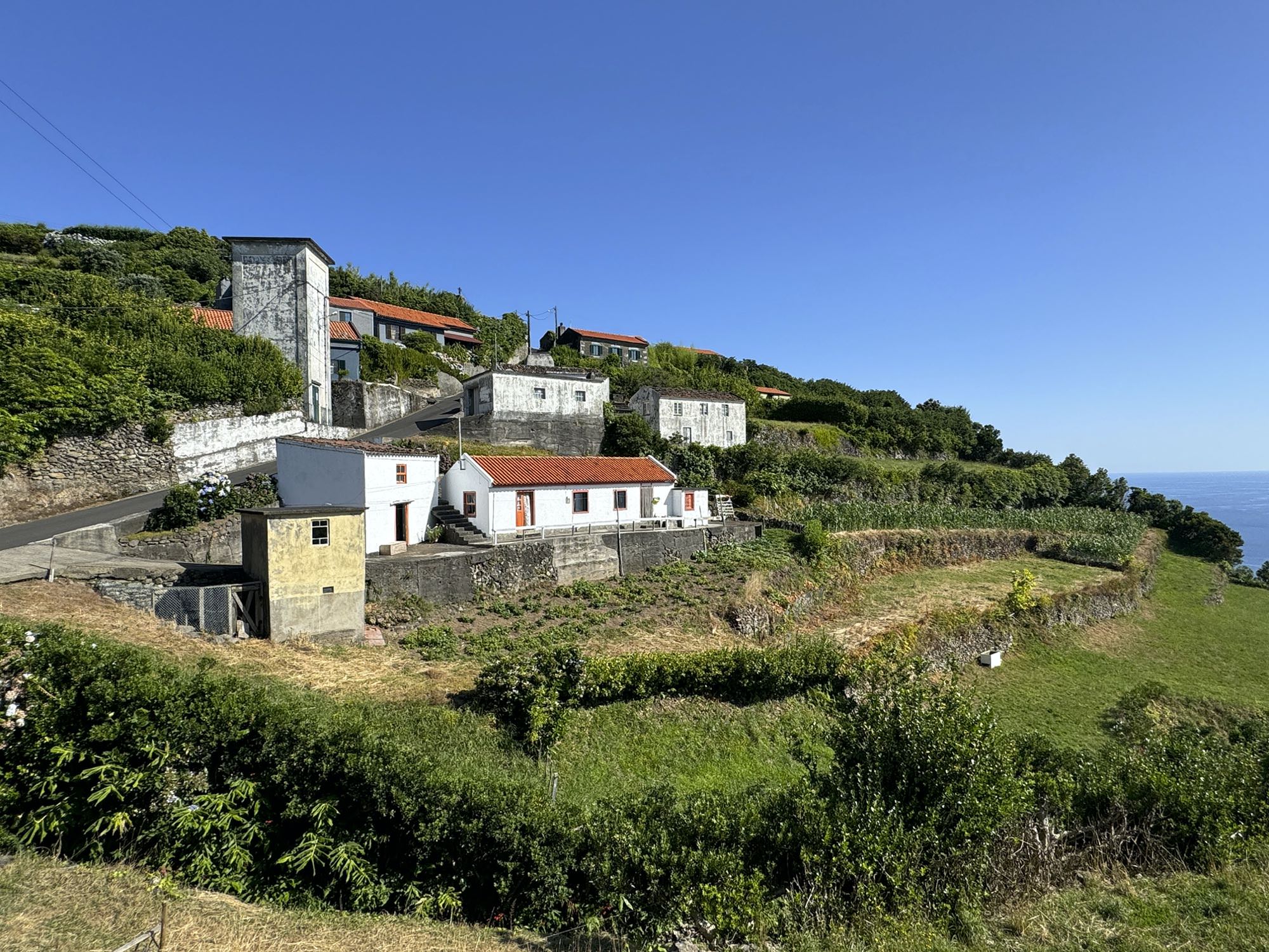 Ponta Ruiva