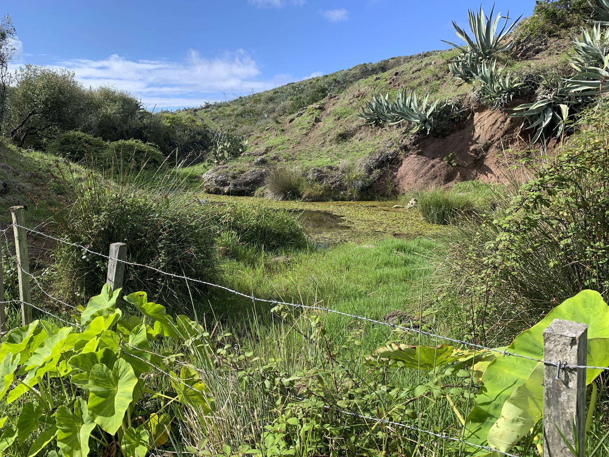 Ribeira dos Lemos