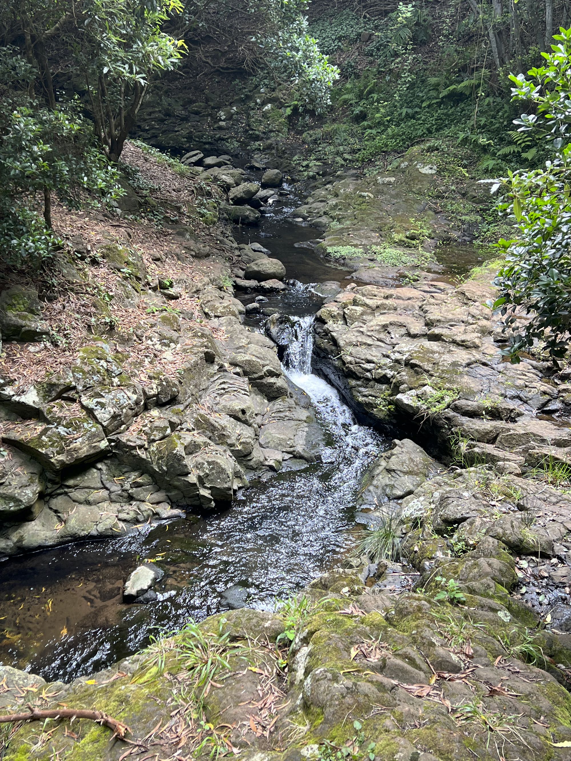 Ribeira do Engenho