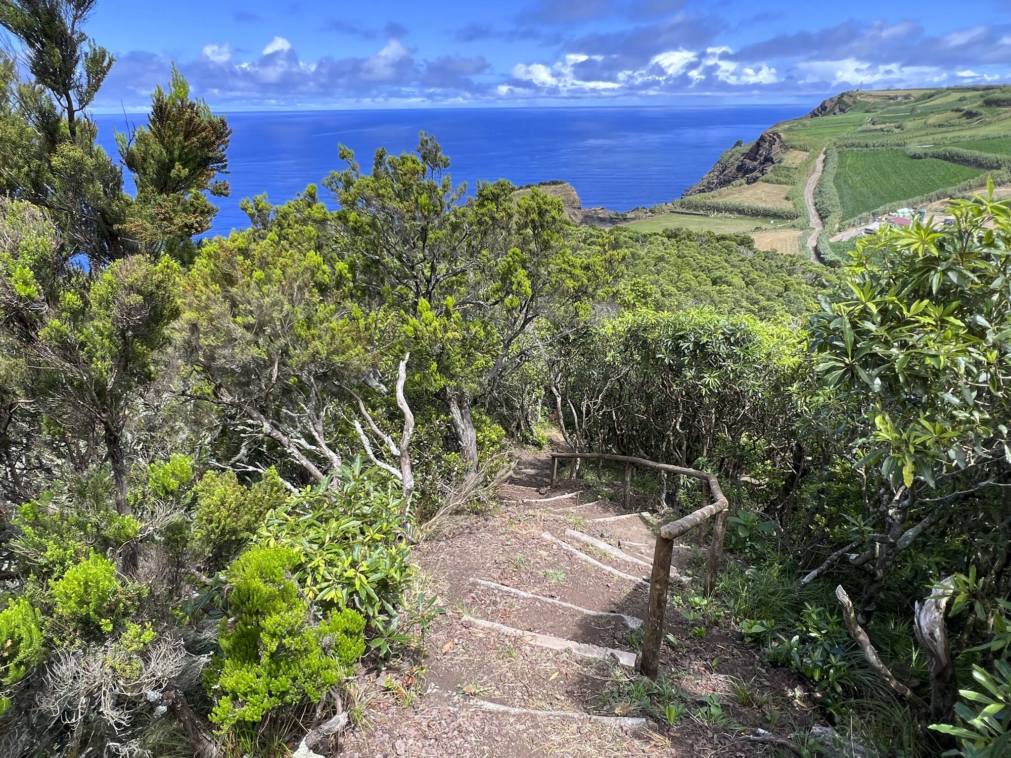 Wegabschnitt am Pico das Camarinhas