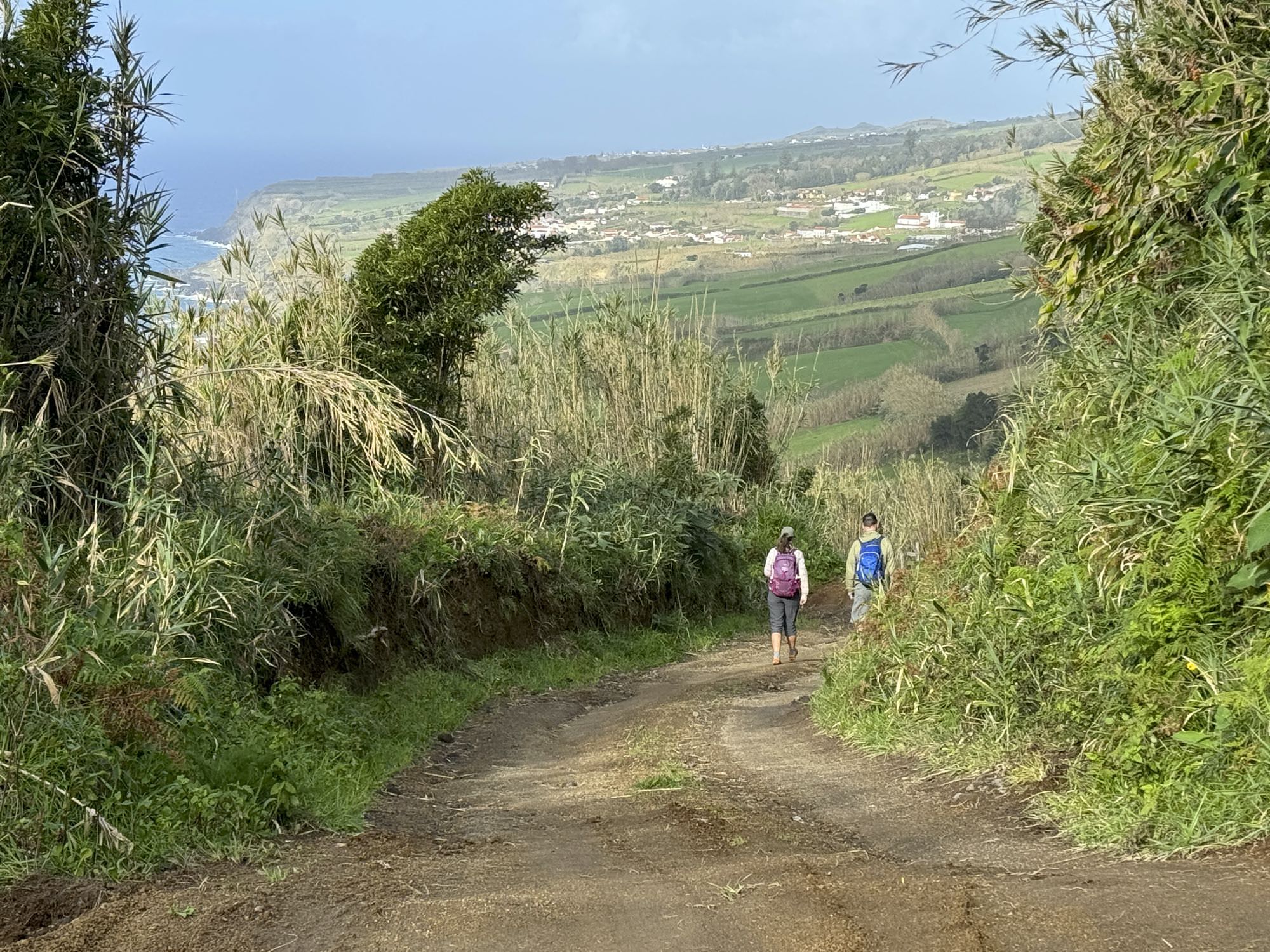 Fahrweg hinab nach Rocha das Feteiras